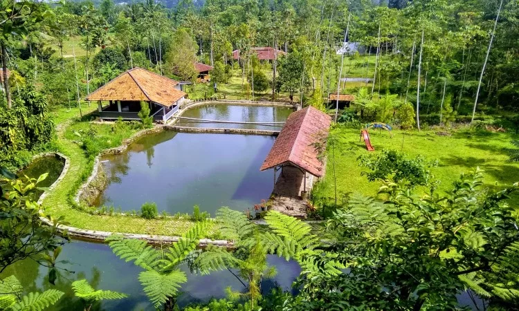 Wanakula Camp via Google Maps ToBry Sky, 1. Air Terjun Curug Cipurut, 2. Situ Wanayasa Purwakarta, 3. Waduk Jatiluhur, 4. Wisata Taman Air Mancur Sribaduga Situ Buleud, 5. Obyek Wisata keluarga Waduk Cirata, 6. Jatiluhur Water World, 7. Wisata Alam Sumber Air panas Ciracas, 8. Wisata Giri Tirta Kahuripan, 9. Sentra Pembuatan Keramik Plered, 10. Wisata Desa Sajuta Batu, 11. Wisata KulinerSate Maranggi, 12. Gedung Negara dan Gedung Karesidenan, 13. Obyek Wisata Goa Jepang, 14. Goa Belanda, 15. Kampung Panenjoan, 16. Skylodge Padjadjaran Anyar, 17. Taman Batu Cijanun, 18. Saung Manglid, 19. Sungai Cidomas, 20. Cikao Waterpark, 21. Urban Farming, 22. Gunung Lembu, 23. Kampung Sadang, 24. Bukit Katumbiri, 25. Pasir Langlang Panyawangan, 26. Museum Galeri Wayang, 27. Bale Panyawangan Diorama Nusantara & Bale Panyawangan Diorama Purwakarta, 28. Green Valley Waterpark, 29. Kuburan Kereta Api Stasiun Purwakarta, 30. Gunung Bongkok, 31. Gunung Parang, 32. Kampung Wisata Tajur, 33. Curug Tilu, 34. Kuya Maranggi Waterpark, 35. Hidden Valley Hills, 36. Tebing Boyer, 37. Tanjakan Cinta, 38. Parang Gombong, 39. Wanakula Camp, 40. Bale Indung Rahayu, 41. Curug Suhada, 42. Curug Cisomang, 43. The Colorville at Alam Sari Wates