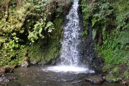 1. Wisata Gunung Papandayan , 2. Wisata Gunung Cikuray , 3. Wisata Gunung Guntur , 4. Tempat Wisata Situ Bagendit di Garut , 5. Wisata Situ dan Candi Cangkuang , 6. Wisata Pemandian Air Panas Cipanas, 7. Wisata Pemandian Air Panas Darajat , 8. Wisata Kawah Putih Talaga Bodas , 9. Wisata Arung Jeram Sungai Cimanuk , 10. Wisata Tebing Alam Batu Tumpang , 11. Wisata Pantai Santolo , 12. Wisata Pantai Sayang Heulang , 13. Wisata Pantai Rancabuaya , 14. Tempat Wisata Taman Satwa Cikembulan di Garut , 15. Wisata Curug Citiis , 16. Wisata Curug Orok , 17. Pantai Puncak Guha di Garut, 18. Wisata Pantai Cijeruk Indah, 19. Wisata Pantai Karang Paranje, 20. Kampung Sampireun, 21. Sabda Alam Cipanas, 22. Kawah Darajat Garut, 23. Curug Cimandi Racun, 24. Curug Sang Hyang Taraje, 25.  Kebun Mawar Situhapa Garut, 26. Kawah Kamojang, 27. Pantai Cicalobak, 28. Pantai Taman Manalusu, 29. Perkebunan Teh Dayeuh Manggung, 30. Kolam Air Panas Cikarees, 31. Bukit Pilar Angin, 32. Leuweung Oko D’Great, 33. Leuwi Tonjong, 34. Bukit Palahlar, 35. Bukit Nangklak, 36. Pusat Konservasi Elang Kamojang, 37. Curug Cikawung, 38. Curug Cibadak, 39. Batu Patapaan, 40. Gunung Piramida Sadahurip, 41. Curug Nyogong, 42. Leuwi Korsi, 43. Leuwi Jurig, 44. Leuwi Jubleg, 45. Bukit Teletubbies Pasir Pogor, 46. Karacak Valley, 47. Cilopang Adventure Camp, 48. Papandayan Leisure Park, 49. River Tubing Cikaengan, 50. Curug Batu Nyusun, 51. Curug Ciarjuna, 52. Hutan Mati Gunung Papandayan