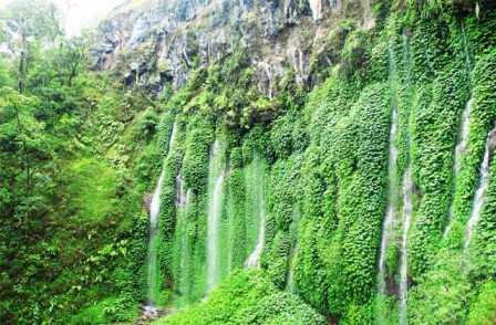 Wisata Alam 7 Air Terjun Sumber Pitu Malang, 1. Wisata Pantai Batu Bengkung Malang, 2. Wisata Batu Night Spectacular (BNS) Malang, 3. Wisata Jatim Park 1, 4. Wahana Wisata Jatim Park 2 Malang, 5. Alun-alun kota Malang, 6. Wisata Petik Apel Malang, 7. Masjid Tiban Malang, 8. Wisata Alam Air Terjun Coban Rondo Malang, 9. Wahana Wisata Eco Green Park Malang, 10. Wisata Museum Angkut Malang, 11. Wisata Pulau Sempu Malang, 12. Wisata Pantai Balekambang Malang, 13. Objek Wisata Bendungan Karangkates Malang, 14. Wahana Wisata Wendit Water Park Malang, 15. Tempat wisata Alam Selecta Malang, 16. Objek Wisata Agrowisata Wonosari Malang, 17. Wahana Wisata Taman Rekreasi Sengkaling Malang, 18. Wisata Kuliner dan Edukasi di Inggil Museum Resto Malang, 19. Wisata Alam Menikmati Kecantikan Alam Ala Omah kayu Malang, 20. Objek Wisata Uji Adrenalin Wisata Paralayang Malang, 21. Wisata Alam 7 Air Terjun Sumber Pitu Malang, 22. Berwisata Menikmati Keperawanan Pantai Sipelot Malang, 23. Tempat Wisata Edukasi Museum Kesehatan Jiwa Malang, 24. Wisata Alam Sumber Air Krabyakan Malang, 25. Wisata Pantai Ngliyep nan Indah di Malang, 26. Wisata Sejarah di Museum D’Topeng Malang, 27. Objek Wisata Panen Madu di Agro Tawon Rimba Raya Malang, 28. Wisata Sejarah Gerbong Maut di Museum Brawijaya Malang, 29. Wisata Edukasi Museum Malang Tempo Doeloe, 30. Objek Wisata Pemandian Air Panas Cangar Batu Malang, 31. Objek Wisata Secret zoo Kebun Binatang Batu Malang, 32. Tempat Wisata Kuliner Es Krim Legendaris di Toko Oen Malang, 33. Mata Air Sumber Sirah, 34. Coban Nirwana atau Coban Mbok Karimah, 35. Pemandian Kalireco Lawang, 36. Teluk Bidadari, 37. Banyu Anjlok, 38. Wisata Tubing Wringinanom, 39. Coban Tundo, 40. Pantai Kedung Celeng, 41. Air Terjun Coban Pelangi, 42. Gua Lo Bangi, 43. Ndayung Rafting, 44. Waduk Selorejo Malang, 45. Pantai Tiga Warna Malang, 46. Teluk Kletekan Malang, 47. Pantai Lenggoksono Malang, 48. Pantai Bajul Mati Malang, 49. Jawa Timur Park 3, 50. Kampung Warna Warni Jodipan, 51. Candi Badut, 51. Sumber Jenon, 52. Wisata Pujon Kidul, 53. Pantai Sendang Biru, 54. Hawai Waterpark, 55. Pura Luhur Giri Arjuno, 56. Museum Tubuh, 57. Kusuma Waterpark, 58. Candi Songgoriti, 59. Taman Singha Merjosari, 60. Taman Kelinci, 61. Candi Singosari, 62. Pura Luhur Giri Arjuno, 63. Masjid Agung Malang, 64. Masjid Annur Batu, 65. Coban Rais, 66. River Tubing di Sungai Amprong, 67. Sumber Maron, 68. Coban Jahe, 69. Coban Talun, 70. Coban Parang Tejo, 71. Coban Gintung, 72. Coban Sewu, 73. Coban Putri, 74. Rafting Kaliwatu, 75. Sumber Taman, 76. Bukit Bulu, 77. De Tjangkul Batu, 78. Taman Labirin Coban Rondo, 79. Bukit Binglis, 80. Bukit Cinta, 81. Bukit Bintang, 82. Bukit Teletubbies, 83. Bukit Asmoro, 84. Bukit Budug Asu, 85. Pantai Banyu Meneng, 86. Pantai Selok, 87. Pantai Sendiki, 88. Pantai Goa Cina, 89. Pantai Sendang Biru, 90. Pantai Watu Leter, 91. Pantai Wedi Awu, 92. Pantai Jonggring Saloko, 93. Pantai Wedi Putih, 94. Pantai Bangsong, 95. Pantai Teluk Asmoro, 96. Pantai Telok, 97. Pantai Parang Dowo, 98. Pantai Jolangkung, 99. Pantai Tomen