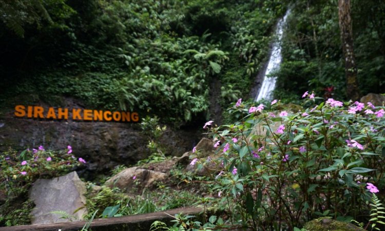 Wisata Alam Air Terjun Sirah Kencong via Panduaji, 1. Kampung Coklat, 2. Taman Kebon Rojo, 3. Pantai Tambakrejo, 4. Pantai Pangi, 5. Perkebunan Teh Sirah Kencong, 6. Pantai Serang, 7. Blitar Park, 8. Petilasan Rambut Monte, 9. Candi Penataran, 10. Pantai Peh Pulo, 11. Goa Embultuk, 12. Candi Gambar Wetan, 13. Situs Arca Warak, 14. Candi Kotes, 15. Candi Sawentar, 16. Makam Bung Karno, 17. Istana Gebang, 18. Water Park Sumberudel, 19. Desa Wisata Semen, 20. Wisata Sejarah Monumen Trisula, 21. Penangkaran Rusa Maliran, 22. Agrowisata Karangsari Blitar, 23. Gunung Butak, 24. Pantai Gondo Mayit, 25. Air Terjun Coban Wilis, 26. Air Terjun Sirah Kencong, 27. Air Terjun Grenjeng, 28. Air Terjun Jurug Bening , 29. Objek Wisata Alam Pacuh, 30. Pantai Umbul Waru, 31. Curug dan Kedung Badrun, 32. Air Terjun Lawean, 33. Pantai Jolosutro, 34. Arung Jeram Soko Adventure Blitar, 35. Goa Maria Sendang Rejo, 36. Gardu Pandang Perkebunan Gambar, 37. Omah Djadoel, 38. Gunung Kelud, 39. Air Terjun Kedung Entong, 40.  Air Terjun Tirto Galuh, 41. Taman Jurug Goa Luweng Prodo, 42. Bukit Teletubies Blitar, 43. Hutan Pinus Gogoniti, 44. Kampung Afrika Blitar, 45. Gunung Butak, 46. Pantai Pasur, 47. Pantai Serit, 48. Monumen PETA, 49. Wisata Alam Paco, 50. Bendungan Serut, 51. Arca Gamprang, 52. Candi Simping, 53. Jurug Moncar, 54. Candi Mleri, 55. Candi Kalicilik, 56. Alun-alun Blitar, 57. Blitar Green Park, 58. Taman Pecut, 59. Fish Garden Blitar, 60. Kaloka Lodoyo, 61. Pemandian Sumur Amber Kandangan, 62. Bendungan Wlingi Raya, 63. Taman Idaman Hati Wlingi Blitar, 64. Villa Puncak Pesanggrahan Tambakrejo