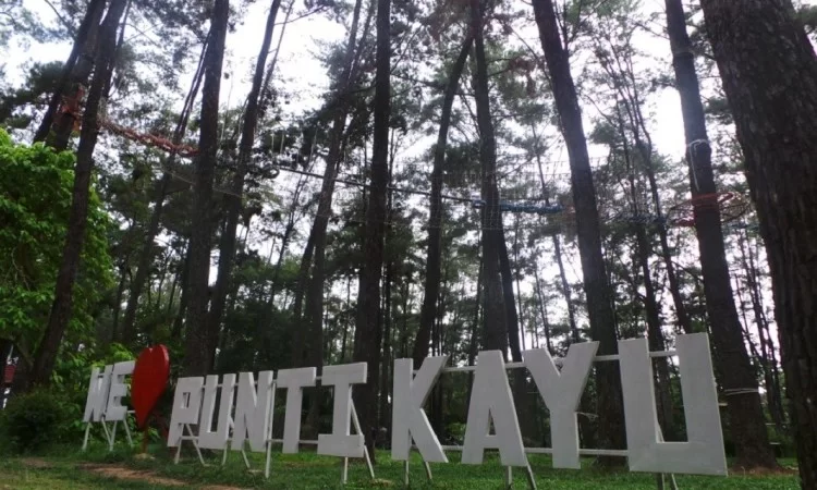 Wisata Alam Hutan Punti Kayu via Kitogalo, 1. Obyek Wisata Jembatan Ampera dan Sungai Musi di Palembang, 2. Tempat Wisata Religi Masjid Cheng Hoo Palembang, 3. Obyek Wisata Bukit Siguntang di Palembang, 4. Tempat Wisata Sejarah Museum Sultan Mahmud Badaruddin II Palembang, 5. Tempat Wisata Sejarah Benteng Kuto Besak di Palembang, 6. Wisata Religi Masjid Agung Sultan Mahmud Badaruddin I Palembang, 7. Objek Wisata Gedung Kantor Walikota Palembang, 8. Tempat Wisata Keluarga Kembang Iwak Family Park di Palembang, 9. Tempat Wisata Alam Hutan Punti Kayu di Palembang, 10. Tempat Wisata Sejarah Taman Purbakala Kerajaan Sriwijaya di Palembang, 11. Tempat Wisata Kuliner Kampung Kapitan di Palembang, 12. Objek Wisata Monumen perjuangan rakyat Palembang, 13. Obyek Wisata Pulau Kemaro di Palembang, 14. Tempat Wisata Alam Air Terjun Lematang Indah , 15. Obyek Wisata Gunung Dempo, 16. Tempat Wisata Alam Air Terjun Bidadari di Lahat, 17. Obyek Wisata Alam Air Terjun Maung (Curup Maung), 18. Tempat Wisata Kuliner Terkenal Martabak HAR di Palembang, 19. Tempat Wisata Kuliner Pempek Candy di Palembang, 20. Tempat Wisata Kuliner Pempek SAGA di Palembang, 21. Arung Jeram Sungai Manna, 22. Waterboom OPI Jakabaring, 23. The Amanzi Waterpark CitraGrand City, 24. Fantasy Island Palembang, 25. Danau Ranau, 26. Kolam Renang Lumban Tirta, 27. Museum Negeri Balaputra Dewa, 28. Kampung Arab Palembang, 29. Rumah Rakit Sungai Musi, 30. Palembang Bird Park, 31. Pelabuhan Tanjung Api-Api, 32. Masjid Lawang Kidul, 33. Tangga 2001, 34. Tugu Belido, 35. Kopi Roda, 36. Bayt Al-Quran Raksasa, 37. Sungai Gerong, 38. Goa Putri, 39. Sekanak Sidewalk, 40. Danau OPI, 41. Museum Tekstil Palembang, 42. Waterpark Danau Tanah Mas, 43. Taman Pelangi, 44. Bukit Golf, 45. Klenteng Chandra Nadi, 46. G Art Studio, 47. Pulau Maspari, 48. Gelora Sriwijaya, 49. Warung Apung Sungai Musi, 50. Air Terjun Kematang Indah, 51. Kebun Teh Dempo
