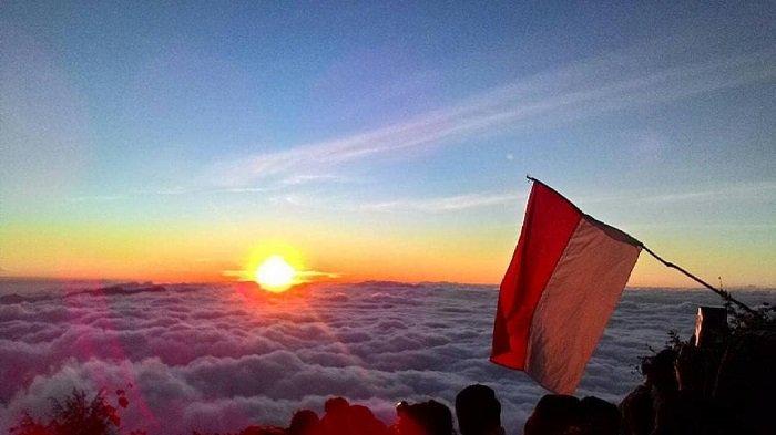 Wisata Gunung Cikuray via Tribun Travel, 1. Wisata Gunung Papandayan , 2. Wisata Gunung Cikuray , 3. Wisata Gunung Guntur , 4. Tempat Wisata Situ Bagendit di Garut , 5. Wisata Situ dan Candi Cangkuang , 6. Wisata Pemandian Air Panas Cipanas, 7. Wisata Pemandian Air Panas Darajat , 8. Wisata Kawah Putih Talaga Bodas , 9. Wisata Arung Jeram Sungai Cimanuk , 10. Wisata Tebing Alam Batu Tumpang , 11. Wisata Pantai Santolo , 12. Wisata Pantai Sayang Heulang , 13. Wisata Pantai Rancabuaya , 14. Tempat Wisata Taman Satwa Cikembulan di Garut , 15. Wisata Curug Citiis , 16. Wisata Curug Orok , 17. Pantai Puncak Guha di Garut, 18. Wisata Pantai Cijeruk Indah, 19. Wisata Pantai Karang Paranje, 20. Kampung Sampireun, 21. Sabda Alam Cipanas, 22. Kawah Darajat Garut, 23. Curug Cimandi Racun, 24. Curug Sang Hyang Taraje, 25. Kebun Mawar Situhapa Garut, 26. Kawah Kamojang, 27. Pantai Cicalobak, 28. Pantai Taman Manalusu, 29. Perkebunan Teh Dayeuh Manggung, 30. Kolam Air Panas Cikarees, 31. Bukit Pilar Angin, 32. Leuweung Oko D’Great, 33. Leuwi Tonjong, 34. Bukit Palahlar, 35. Bukit Nangklak, 36. Pusat Konservasi Elang Kamojang, 37. Curug Cikawung, 38. Curug Cibadak, 39. Batu Patapaan, 40. Gunung Piramida Sadahurip, 41. Curug Nyogong, 42. Leuwi Korsi, 43. Leuwi Jurig, 44. Leuwi Jubleg, 45. Bukit Teletubbies Pasir Pogor, 46. Karacak Valley, 47. Cilopang Adventure Camp, 48. Papandayan Leisure Park, 49. River Tubing Cikaengan, 50. Curug Batu Nyusun, 51. Curug Ciarjuna, 52. Hutan Mati Gunung Papandayan