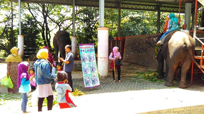 Wisata Kebun Binatang Mangkang di Semarang via Tribun Jateng, 1. Wisata Pantai Maron, 2. Wisata Lawang Sewu di Semarang, 3. Kampoeng Wisata Taman Lele di Semarang, 4. Wisata Pantai Marina, 5. Wisata Pantai Tirang di Semarang, 6. Berwisata di Masjid Agung Jawa Tengah (MAJT), 7. Wisata Air Terjun Kali Pancur di Semarang, 8. Wisata Pagoda Buddhagaya Watugong di Semarang, 9. Taman Rekreasi Wonderia di Semarang, 10. Wisata Curug Benowo di Semarang, 11. Wisata Goa Kreo Semarang, 12. Wisata Sam Poo Kong, 13. Wisata Museum Ronggowarsito, 14. Berwisata ke Kota Lama Semarang, 15. Berwisata ke Komplek Pecinan Semarang, 16. Jalan Pahlawan Semarang, 17. Pasar Rakyat Simpang Lima, 18. Wisata Hutan Tinjomoyo di Semarang, 19. Wisata Kebun Binatang Mangkang di Semarang, 20. Wisata Tugu Muda, 21. Wisata Museum Mandala Bakti di Semarang, 22. Wisata Bukit Gombel di Semarang, 23. Wisata Water Blaster Bukit Candi Golf di Semarang, 24. Wisata Stasiun Tawang di Semarang, 25. Wisata ke Masjid Menara (Layur) di Semarang, 26. Wisata ke BSB (Bukit Semarang Baru), 27. Maerokoco Semarang, 28. Wisata Taman KB (wisata kuliner) di Semarang, 29. Wisata Brown Canyon, 29. Jalan Pandanaran (pusat jajanan semarang), 30. Wisata Keluarga New Bandungan Indah Waterpark, 31. Museum Muri di Semarang, 33. Candi Gedong Songo + Pemandian Air Panas, 34. Kebun Teh Medini di Semarang , 35. Air terjun + Pemandian Air Panas Gonoharjo, 36. Curug Lawe di Semarang, 37. Kebun Karet BSB di Semarang, 38. Wisata Gelora Jati Diri di Semarang, 39. Kebun Buah Boja, 40. Tempat Wisata Taman Unyil Ungaran, 41. Pemancingan Baron, 42. Umbul Sidomukti, 43. Lembah Kalipancur, 44. Waduk Diponegoro, 45. Saloka Theme Park, 46. Masjid Kapal Semarang, 47. Taman Bunga Bandungan, 48. Flower Farm Setiya Aji, 49. Kebun Durian Semarang, 50. Watu Gunung Ungaran, 51. Air Terjun Semirang, 52. Pura Agung Giri Natha, 53. Semarang Gallery, 54. Kampung Batik, 55. Kampung Tematik Jawi, 56. Kampoeng Kopi Banaran, 58. Taman Djamoe Indonesia, 59. Old City 3D Trick Art Museum, 60. Goa Rong View, 61. Jembatan Biru Ambarawa, 62. La Kana Chapel, 63. Gereja Blenduk, 64. Museum Satria, 65. Semarang Fair (PRPP), 66. Hutan Penggaron, 67. Hutan Mangrove, 68. Pasar Johar disaat Dugderan, 69. Wisata Kuliner Lumpia Semarang, 70. Pondok Kopi Sidomukti Ungaran, 71. Wisata Susan SPA Bandungan, 72. Jembatan Harapan, 73. Hutan Pinus, 74. Kamu Pecinta Sambal? Cobain ke Waroeng Kaligarong!