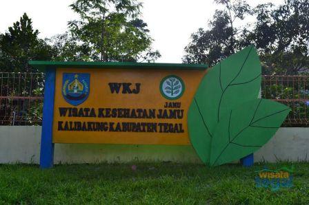 Wisata Kesehatan Jamu (WKJ) Kalibakung, 1. Pemandian Air Panas Guci, 2. Pantai Purwahamba Indah, 3. Tirta Waduk Cacaban , 4. Agro Wisata Loco Antik , 5. Curug Cantel Bumijawa, 6. Curug Putri , 7. Pantai Alam Indah, 8. Bahari Waterpark Tegal, 9. Wana Wisata Clirit View, 10. Rita Park, 11. Alun-alun Kota Tegal, 12. Taman Rakyat Slawi Ayu, 13. Guci Forest, 14. Sulaku Bumijawa Park, 15. Taman Anggrek Tuwel Guci, 16. Guciku Hot Waterboom, 17. The Baron Hill of Guci, 18. Waterboom Yogya, 19. Konsorsium Rumah Wayang, 20. Bukit Goa Lawa atau Bukit Batu Agung, 21. Danau Beko Margasari, 22. Jembatan Gantung Danawarih, 23. Kawasan Konservasi Karang Jeruk, 24. Wisata Kesehatan Jamu (WKJ) Kalibakung, 25. Monumen Bahari, 26. Curug Pitu Margasari, 27. Situs Manusia Purba Semedo, 28. Pantai Muarareja Indah, 29. Taman Poci, 30. Curug Jejeg, 31. Curug Luhur, 32. Curug Kembar, 33. Kolam Renang Samudra Slawi, 34. Bukit Rangkok Pagerwangi, 35. Kebun Melati Maribaya, 36. Curug Penganten, 37. Pacific Mall, 38. Bukit Bintang Guci, 39. Curug Sentul Cawitali, 40. Curug Jedor Guci, 41. Curug Longan, 42. Kolam Renang Hj. Muriyah Slawi, 43. Telaga Air Cempaka, 44. Gunung Tanjung
