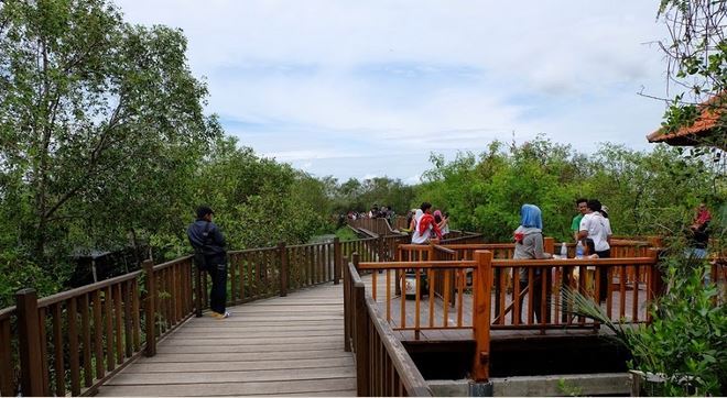 Wisata Hutan Mangrove Wonorejo, 1. Boncafe – Pregolan, 2. Wisata Pelabuhan di Surabaya North Quay, 3. Loop – Graha Famili, 4. Domicile Kitchen &amp; Lounge, 5. Historica Coffee &amp; Pastry, 6. Monopole Coffee Lab, 7. White House Surabaya | Resto Garden Lounge, 8. Pavilion Restaurant at JW Marriott Surabaya, 9. Tropikal Coffee, 10. The Consulate Surabaya, 11. The Socialite Bistro &amp; Lounge, 12. Danau Angsa Pakuwon City, 13. Cafe Rooftop Mibimibi, 14. Palacio Sky Cafe, 15. Sky 36 Rooftop Dining, 16. Citilites Skyclub &amp; Bistro Java Paragon, 17. Garden Cafe – XXI Ciputra World Surabaya, 18. Ekowisata Mangrove Wonorejo, 19. Cafe bawah Jembatan Suramadu, 20. The Gallery Restaurant – Ciputra World Hotel Surabaya