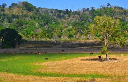 Wisata Padang Rumput Sadengan Banyuwangi