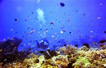 Wisata Pantai Bangsring di Banyuwangi 