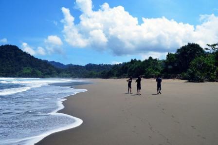 Pantai Sukamade