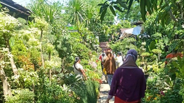 Wisata Pasar Bunga Bratang via Surya, 1. Wisata Monumen Pahlawan, 2. Wisata patung Buddha dengan Empat Wajah , 3. Wisata Jembatan Merah , 4. Wisata Monumen Kapal Selam di Surabaya, 5. Taman Harmoni Keputih, 6. Wisata Museum WR. Soepratman , 7. Wisata Kelenteng Hong Tiek Hian, 8. Wisata Jembatan Suramadu, 9. Wisata Rumah Batik, 10. Wisata Monumen Bambu Runcing , 11. Wisata Ciputra Waterpark (Tutup), 12. Wisata Kebun Binatang Surabaya , 13. Wisata Hutan Mangrove Wonorejo, 14. Wisata Pantai Kenjeran, 15. Wisata Pasar Bunga Bratang , 16. Wisata Masjid Nasional Al-Akbar di Surabaya, 17. Wisata Gereja Perawan Maria Tak Berdosa , 18. Wisata Taman Bungkul , 19. Wisata Taman Apsari , 20. Taman Dr. Soetomo (Taman Korea) , 21. Wisata Taman Mayangkara di Surabaya, 22. Wisata Taman Pelangi , 23. Wisata Taman Mundu , 24. Taman Buah Undaan di Surabaya, 25. Wisata Taman Prestasi di Surabaya, 26. Wisata House of Sampoerna , 27. Surabaya North Quay, 28. Taman Gantung Surabaya, 29. Monumen Suroboyo – Suroboyo Park, 30. Jembatan Biru Kenjeran Surabaya, 31. Food Junction Grand Pakuwon, 32. Skate & BMX Surabaya, 33. Waterpark Kenjeran – Ria Beach Kenjeran, 34. Arca Joko Dolog Surabaya, 35. Monumen Patung Gubernur Suryo, 36. Masjid Ampel Surabaya, 37. Perpustakaan Bank Indonesia, 38. Kebun Bibit Wonorejo, 39. Museum Kesehatan Dr. Adhyatma, 40. Jalan Kembang Jepun, 41. THR (Taman Hiburan Rakyat), 42. Masjid Muhammad Cheng Hoo, 43. Kebun Bibit Ngagel Jaya (Kebun Bibit Wonorejo 2), 44. Museum Surabaya (Gedung Siola), 45. Monumen Jalesveva Jayamahe, 45. Taman Kenjeran Surabaya, 46. Jalan Tunjungan Surabaya, 47. Kampung Bulak Surabaya, 48. Gereja Kepanjen, Surabaya, 49. Klenteng Sanggar Agung, 50. Taman Sakura Keputih, 51. Suroboyo Carnival Park (Tutup), 52. G Walk Surabaya, 53. Hutan Bambu Keputih, 54. De Mata Trick Eye Museum (Tutup), 55. Kebun Bibit Surabaya, 56. Taman Pertanian Terpadu Balas Klumprik, 57. Kota Tua Surabaya, 58. Taman Cahaya, 59. Surya Park