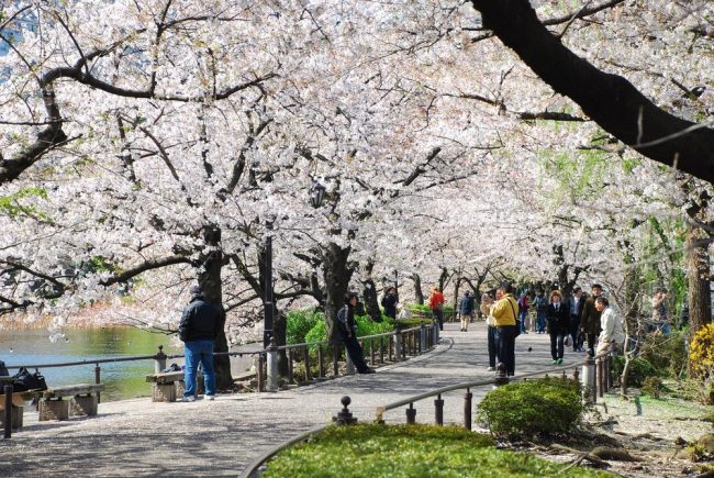 Wisata Ueno Park via Tripjepang, Tempat Wisata di Jepang yang Wajib Dikunjungi, Tempat Wisata di Jepang lainnya, Tempat Wisata di Hiroshima, Tempat Wisata di Osaka Jepang