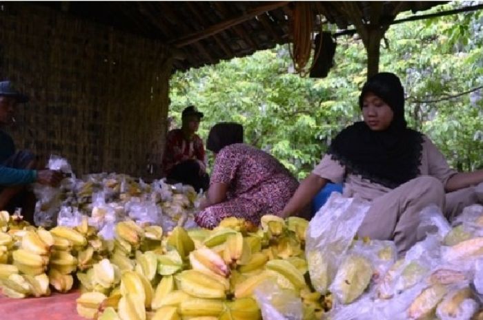 Agrowisata Belimbing Dewa Depok via Pikiran Rakyat, 1. Tempat Wisata Alam Kampung 99 Pepohonan di Depok, 2. Tempat Wisata Religi Masjid kubah emas di Depok, 3. Taman Wisata Keluarga Pasir Putih Depok, 4. Objek Wisata Anak dan Keluarga Godong Ijo Depok, 5. Tempat Wisata Seru Fantasi Water Park di Depok, 6. Kolam Renang / Water Park Ceria Depok, 7. Kolam Renang Tirta Sari Depok Timur, 8. Wahana Liburan Seru Kolam Renang Paragon Depok, 9. Bermain ke Kolam Renang Gema Pesona Depok, 10. Objek Wisata Seru Pondok Zidane Depok, 11. Tempat Wisata Taman Bunga Wiladatika Depok, 12. Liburan Asyik ke Agrowisata Belimbing Dewa Depok, 13. Liburan ke Hutan Kota Depok, 14. Tempat Wisata Studio Alam TVRI Depok, 15. Liburan Seru ke D’Kandang Amazing Farm Depok, 16. Liburan ke Setu Pengasinan Depok, 17. Depok Plaza, 18. Detos/Depok Town Square | Pusat belanja, 19. Cagar Alam Kota Depok, 20. Situ Besar depok (Situ lio), 21. Situ Cilangkap, 22. Situ Citayam Kota Depok, 23. Liburan Seru ke Situ Pladen Beji, 24. Liburan ke Situ Asih Pulo Pancoran Emas Depok, 25. Wisata Sambil Olahraga di Pacuan Kuda Tapos, 26. Liburan Menantang Arung Jeram di Sungai Ciliwung, 27. Rumah Kabeda, 28. Telaga Arwana, 29. Kampung 3D Depok, 30. Taman Wisata Herbal Insani, 31. Taman Pemuda Pratama, 32. Sukatani Park, 33. Taman Wisata Permata Buana, 34. Taman Merdeka, 35. Hutan Kota UI, 36. Danau Kenanga UI, 37. Rumah Keramik F Widayanto, 38. Saung Talaga, 39. Taman Mekarsari Depok, 40. Kolam Renang Griya Tugu Asri, 41. Setu Bojongsari, 42. Setu Cilodong, 43. Situ Jatijajar, 44. Situ Rawa Besar, 45. Green Lake View Waterpark, 46. Arina Waterpark, 47. Taman Lembah Mawar, 48. Taman Lembah Gurame