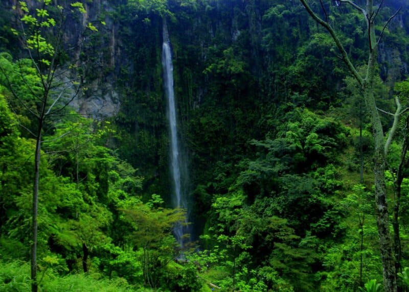 Air Terjun Kalipancur, Rekomendasi Tempat Wisata di Jawa Tengah, Tempat Wisata di Semarang Jawa Tengah, Tempat Wisata di Salatiga Jawa Tengah, Tempat Wisata di Purwokerto Jawa Tengah, Tempat Wisata di Purworejo, Tempat Wisata di Jawa Tengah Hits Lainnya