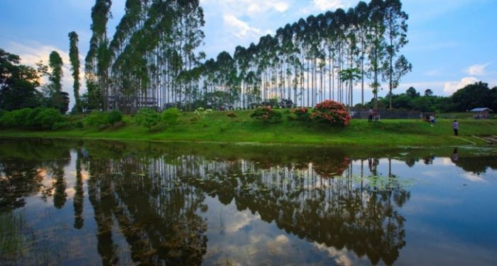 Arboretum Universitas Riau, 1. Objek Wisata Keluarga Riau Fantasi , 2. Tempat Rekreasi Kebun Binatang Sang Kulim , 3. Destinasi Wisata Danau Buatan Lembah Sari , 4. Objek Wisata Taman Rekreasi Alam Mayang di Pekanbaru, 5. Tempat Wisata Seru Istana Siak Sri Indrapura , 6. Objek Wisata Religi Masjid Agung An Nur di Pekanbaru, 7. Tempat Wisata Edukasi Perpustakaan Soeman H.S di Pekanbaru, 8. Wisata Sejarah di Masjid Senapelan Pekanbaru, 9. Tempat Wisata Belanja Pasar Bawah di Pekanbaru, 10. Wisata Belanja Oleh-oleh Dekranasda di Pekanbaru, 11. Objek Wisata Sejarah Museum Sang Nila Utama , 12. Tempat Wisata Alam Air Terjun Aek Martua, 13. Liburan Seru ke Anjungan Seni Idrus Tintin di Pekanbaru, 14. Objek Wisata Alam Air Terjun Guruh Gemurai di Pekanbaru, 15. Destinasi Wisata Desa Okura di Pekanbaru, 16. Liburan ke Taman Hutan Raya Sultan Syarif Kasim, 17. Objek Wisata Seru Sungai Kampar, 18. Tempat Wisata Kuliner Sup Tunjang Tribuana di Pekanbaru, 19. Tempat Makan yang Enak RM Baung, 20. Air Terjun Batu Dinding , 21. Taman Putri Kaca Mayang, 22. Wisata Budaya di Balai Adat Riau, 23. Menikmati Kopi di Kedai Kopi Kawasan Hang Tuah, 24. Air Terjun Batang Kapas, 25. Rainbow Hills Rumbai, 26. Bukit Kapur Air Hitam, 27. Hutan Kota Pekanbaru, 28. Danau Bandar Kayangan, 29. Citraland Waterpark, 30. Kuantan Regency Waterpark, 31. Taman Wisata Alam Mayang, 32. Agrowisata Tenayan Raya, 33. Taman Kota Pekanbaru, 34. Arboretum Universitas Riau, 35. Trans Studio Mini Pekanbaru, 36. Kawah Biru, 37. Teluk Jering, 38. Candi Muara Takus