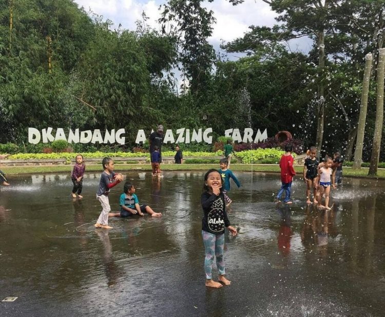 D'Kandang Amazing Farm Depok, 1. Tempat Wisata Alam Kampung 99 Pepohonan di Depok, 2. Tempat Wisata Religi Masjid kubah emas di Depok, 3. Taman Wisata Keluarga Pasir Putih Depok, 4. Objek Wisata Anak dan Keluarga Godong Ijo Depok, 5. Tempat Wisata Seru Fantasi Water Park di Depok, 6. Kolam Renang / Water Park Ceria Depok, 7. Kolam Renang Tirta Sari Depok Timur, 8. Wahana Liburan Seru Kolam Renang Paragon Depok, 9. Bermain ke Kolam Renang Gema Pesona Depok, 10. Objek Wisata Seru Pondok Zidane Depok, 11. Tempat Wisata Taman Bunga Wiladatika Depok, 12. Liburan Asyik ke Agrowisata Belimbing Dewa Depok, 13. Liburan ke Hutan Kota Depok, 14. Tempat Wisata Studio Alam TVRI Depok, 15. Liburan Seru ke D’Kandang Amazing Farm Depok, 16. Liburan ke Setu Pengasinan Depok, 17. Depok Plaza, 18. Detos/Depok Town Square | Pusat belanja, 19. Cagar Alam Kota Depok, 20. Situ Besar depok (Situ lio), 21. Situ Cilangkap, 22. Situ Citayam Kota Depok, 23. Liburan Seru ke Situ Pladen Beji, 24. Liburan ke Situ Asih Pulo Pancoran Emas Depok, 25. Wisata Sambil Olahraga di Pacuan Kuda Tapos, 26. Liburan Menantang Arung Jeram di Sungai Ciliwung, 27. Rumah Kabeda, 28. Telaga Arwana, 29. Kampung 3D Depok, 30. Taman Wisata Herbal Insani, 31. Taman Pemuda Pratama, 32. Sukatani Park, 33. Taman Wisata Permata Buana, 34. Taman Merdeka, 35. Hutan Kota UI, 36. Danau Kenanga UI, 37. Rumah Keramik F Widayanto, 38. Saung Talaga, 39. Taman Mekarsari Depok, 40. Kolam Renang Griya Tugu Asri, 41. Setu Bojongsari, 42. Setu Cilodong, 43. Situ Jatijajar, 44. Situ Rawa Besar, 45. Green Lake View Waterpark, 46. Arina Waterpark, 47. Taman Lembah Mawar, 48. Taman Lembah Gurame