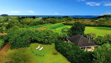 Destinasi Wisata Desa okura di Pekanbaru, 1. Objek Wisata Keluarga Riau Fantasi , 2. Tempat Rekreasi Kebun Binatang Sang Kulim , 3. Destinasi Wisata Danau Buatan Lembah Sari , 4. Objek Wisata Taman Rekreasi Alam Mayang di Pekanbaru, 5. Tempat Wisata Seru Istana Siak Sri Indrapura , 6. Objek Wisata Religi Masjid Agung An Nur di Pekanbaru, 7. Tempat Wisata Edukasi Perpustakaan Soeman H.S di Pekanbaru, 8. Wisata Sejarah di Masjid Senapelan Pekanbaru, 9. Tempat Wisata Belanja Pasar Bawah di Pekanbaru, 10. Wisata Belanja Oleh-oleh Dekranasda di Pekanbaru, 11. Objek Wisata Sejarah Museum Sang Nila Utama , 12. Tempat Wisata Alam Air Terjun Aek Martua, 13. Liburan Seru ke Anjungan Seni Idrus Tintin di Pekanbaru, 14. Objek Wisata Alam Air Terjun Guruh Gemurai di Pekanbaru, 15. Destinasi Wisata Desa Okura di Pekanbaru, 16. Liburan ke Taman Hutan Raya Sultan Syarif Kasim, 17. Objek Wisata Seru Sungai Kampar, 18. Tempat Wisata Kuliner Sup Tunjang Tribuana di Pekanbaru, 19. Tempat Makan yang Enak RM Baung, 20. Air Terjun Batu Dinding , 21. Taman Putri Kaca Mayang, 22. Wisata Budaya di Balai Adat Riau, 23. Menikmati Kopi di Kedai Kopi Kawasan Hang Tuah, 24. Air Terjun Batang Kapas, 25. Rainbow Hills Rumbai, 26. Bukit Kapur Air Hitam, 27. Hutan Kota Pekanbaru, 28. Danau Bandar Kayangan, 29. Citraland Waterpark, 30. Kuantan Regency Waterpark, 31. Taman Wisata Alam Mayang, 32. Agrowisata Tenayan Raya, 33. Taman Kota Pekanbaru, 34. Arboretum Universitas Riau, 35. Trans Studio Mini Pekanbaru, 36. Kawah Biru, 37. Teluk Jering, 38. Candi Muara Takus