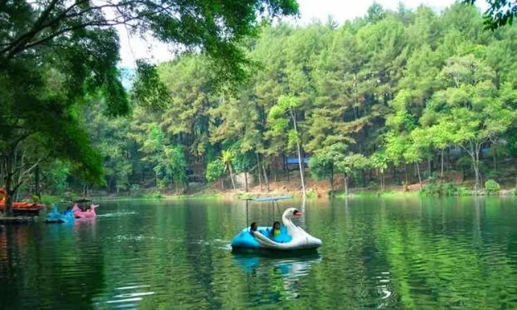 Desa Wisata Cikalahang via Pegipegi, 1. Wisata Sejarah Keraton Kasepuhan di Cirebon, 2. Objek Wisata Keraton Kanoman di Cirebon, 3. Wahana Bermain Apita Waterboom, 4. Objek Wisata Sejarah Taman Sari Gua Sunyaragi di Cirebon, 5. Destinasi Wisata Banyu Panas Palimanan di Cirebon, 6. Wisata Religi Masjid Agung Sang Cipta Rasa Cirebon, 7. Wisata Belanja Terkenal Batik Trusmi Cirebon, 8. Wahana Bermain Waterboom siwalk di Cirebon, 9. Wahana Liburan Seru Outbound Siwalk di Cirebon, 10. Objek Wisata Danau Setu Patok di Cirebon, 11. Destinasi Wisata Wanawisata Ciwaringin di Cirebon, 12. Desa Wisata Cikalahang Cirebon, 13. Objek Wisata Situ Sedong di Cirebon, 14. Wahana Bermain Taman Ade Irma Suryani (Waterland) di Cirebon, 15. Wisata Kuliner Enak Nasi Jamblang Khas Cirebon, 16. Wisata Kuliner Empal gentong Khas Cirebon, 17. Tempat Romantis di Bukit Gronggong, 18. Objek Wisata Telaga Remis , 19. Ziarah ke Makam Sunan Gunung jati Cirebon, 20. Objek Wisata Pantai Kejawanan di Cirebon, 21. Pantai Baro Gebang, 22. Telaga Nilam, 23. Kolam Renang Hegar, 24. Kolam Renang Zam-Zam, 25. Water Park Ciperna, 26. Alun-alun Kejaksaan, 27. Batu Lawang, 28. Bukit Plangon, 29. Masjid Merah, 30. Jempol Waterboom, 31. Vihara Dewi Welas Asih, 32. Gedung BAT, 33. Wisata Kura Kura Belawa, 34. Masjid Raya At-Taqwa, 35. Keraton Kacirebonan, 36. Klenteng Hok Keng Tong, 37. Hutan Mangrove Kasih Sayang, 38. Pemandian Cibulan, 39. Tirtamas Gemilang, 40. Catherine Surya, 41. Grage City