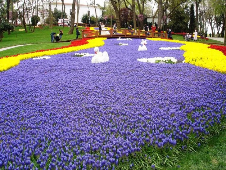 Emirgan Park via Tripadvisor