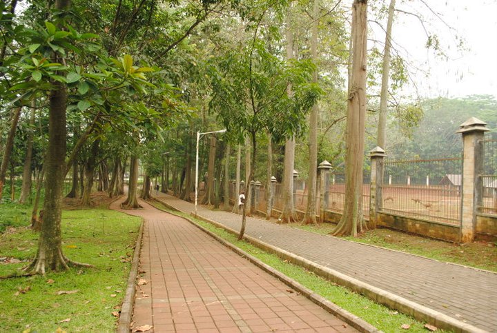 Hutan Kota UI, 1. Tempat Wisata Alam Kampung 99 Pepohonan di Depok, 2. Tempat Wisata Religi Masjid kubah emas di Depok, 3. Taman Wisata Keluarga Pasir Putih Depok, 4. Objek Wisata Anak dan Keluarga Godong Ijo Depok, 5. Tempat Wisata Seru Fantasi Water Park di Depok, 6. Kolam Renang / Water Park Ceria Depok, 7. Kolam Renang Tirta Sari Depok Timur, 8. Wahana Liburan Seru Kolam Renang Paragon Depok, 9. Bermain ke Kolam Renang Gema Pesona Depok, 10. Objek Wisata Seru Pondok Zidane Depok, 11. Tempat Wisata Taman Bunga Wiladatika Depok, 12. Liburan Asyik ke Agrowisata Belimbing Dewa Depok, 13. Liburan ke Hutan Kota Depok, 14. Tempat Wisata Studio Alam TVRI Depok, 15. Liburan Seru ke D’Kandang Amazing Farm Depok, 16. Liburan ke Setu Pengasinan Depok, 17. Depok Plaza, 18. Detos/Depok Town Square | Pusat belanja, 19. Cagar Alam Kota Depok, 20. Situ Besar depok (Situ lio), 21. Situ Cilangkap, 22. Situ Citayam Kota Depok, 23. Liburan Seru ke Situ Pladen Beji, 24. Liburan ke Situ Asih Pulo Pancoran Emas Depok, 25. Wisata Sambil Olahraga di Pacuan Kuda Tapos, 26. Liburan Menantang Arung Jeram di Sungai Ciliwung, 27. Rumah Kabeda, 28. Telaga Arwana, 29. Kampung 3D Depok, 30. Taman Wisata Herbal Insani, 31. Taman Pemuda Pratama, 32. Sukatani Park, 33. Taman Wisata Permata Buana, 34. Taman Merdeka, 35. Hutan Kota UI, 36. Danau Kenanga UI, 37. Rumah Keramik F Widayanto, 38. Saung Talaga, 39. Taman Mekarsari Depok, 40. Kolam Renang Griya Tugu Asri, 41. Setu Bojongsari, 42. Setu Cilodong, 43. Situ Jatijajar, 44. Situ Rawa Besar, 45. Green Lake View Waterpark, 46. Arina Waterpark, 47. Taman Lembah Mawar, 48. Taman Lembah Gurame