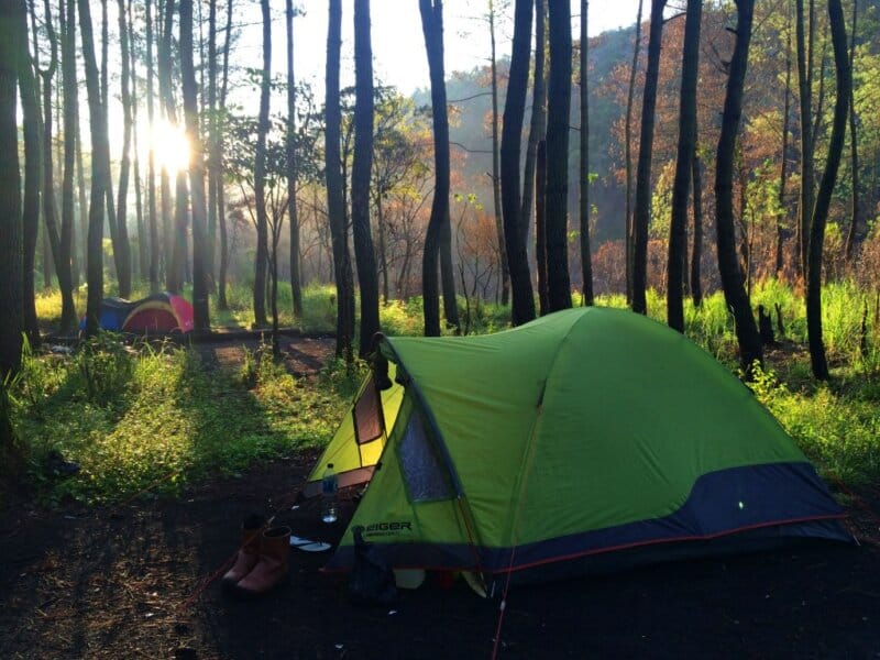 Hutan Pinus Gunung Soputan