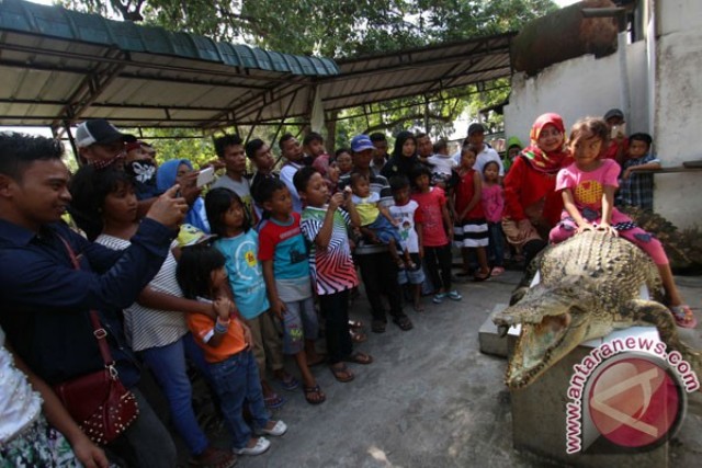 Ke Penangkaran Buaya Asam Kumbang Medan, 1. Danau Linting, 2. Air Terjun Dua Warna, 3. Air Terjun Batu Belah Sibolangit, 4. Gunung Sibayak, 5. Bukit Lawang, 6. Sungai Bukit Lawang, 7. Penangkaran Buaya Asam Kumbang Medan, 8. Istana Maimun Medan, 9. Masjid Raya Medan, 10. Air Terjun Sipiso-piso Tongging, 11. Rahmat Gallery Medan, 12. Liburan Asyik ke Kampung Keling Medan, 13. Menikmati Pesona Keindahan Air Terjun Tangkahan, 14. Mencoba Keseruan Naik Gajah di Tangkahan, 15. Tempat Wisata Seru Danau Lau Kawar, 16. Objek Wisata Menarik Salju Panas Tinggi Raja, 17. Tempat Wisata Anak Mickey Holiday Berastagi, 18. Taman Alam Lumbini Tempat Wisata di Lereng Gunung, 19. Liburan ke Maha Vihara Adhi Maitreya, 20. Wisata Sejarah Museum Sumatera Utara, 21. Objek Wisata Danau Siombak di Medan, 22. Tempat Wisata Kuliner Merdeka Walk di Medan, 23. Kebun Binatang Medan (Medan Zoo), 24. Tempat Wisata Keluarga Mora Indah di Medan, 25. Tempat Liburan Hairos Water Park Medan, 26. Taman Sri Deli, 27. Museum Situs Kota Cina, 28. Museum Militer Bukit Barisan, 29. The Le Hu Garden Medan, 30. Vihara Gunung Timur, 31. Pasar Belawan, 32. Kuil Shri Mariamman, 33. Gedung London Sumatera ( Losum ), 34. Kesawan Square, 35. Balai Kota Lama, 36. Masjid Al-Osmani, 37. Wonders Water World, 38. Gereja Lama Medan, 39. Kantor Pos Medan, 40. Tjong A Fie Mansion, 41. Graham Santa Maria Velangkanni
