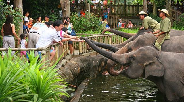Kebun Binatang Medan (Medan Zoo) - tempat wisata di Medan, 1. Danau Linting, 2. Air Terjun Dua Warna, 3. Air Terjun Batu Belah Sibolangit, 4. Gunung Sibayak, 5. Bukit Lawang, 6. Sungai Bukit Lawang, 7. Penangkaran Buaya Asam Kumbang Medan, 8. Istana Maimun Medan, 9. Masjid Raya Medan, 10. Air Terjun Sipiso-piso Tongging, 11. Rahmat Gallery Medan, 12. Liburan Asyik ke Kampung Keling Medan, 13. Menikmati Pesona Keindahan Air Terjun Tangkahan, 14. Mencoba Keseruan Naik Gajah di Tangkahan, 15. Tempat Wisata Seru Danau Lau Kawar, 16. Objek Wisata Menarik Salju Panas Tinggi Raja, 17. Tempat Wisata Anak Mickey Holiday Berastagi, 18. Taman Alam Lumbini Tempat Wisata di Lereng Gunung, 19. Liburan ke Maha Vihara Adhi Maitreya, 20. Wisata Sejarah Museum Sumatera Utara, 21. Objek Wisata Danau Siombak di Medan, 22. Tempat Wisata Kuliner Merdeka Walk di Medan, 23. Kebun Binatang Medan (Medan Zoo), 24. Tempat Wisata Keluarga Mora Indah di Medan, 25. Tempat Liburan Hairos Water Park Medan, 26. Taman Sri Deli, 27. Museum Situs Kota Cina, 28. Museum Militer Bukit Barisan, 29. The Le Hu Garden Medan, 30. Vihara Gunung Timur, 31. Pasar Belawan, 32. Kuil Shri Mariamman, 33. Gedung London Sumatera ( Losum ), 34. Kesawan Square, 35. Balai Kota Lama, 36. Masjid Al-Osmani, 37. Wonders Water World, 38. Gereja Lama Medan, 39. Kantor Pos Medan, 40. Tjong A Fie Mansion, 41. Graham Santa Maria Velangkanni
