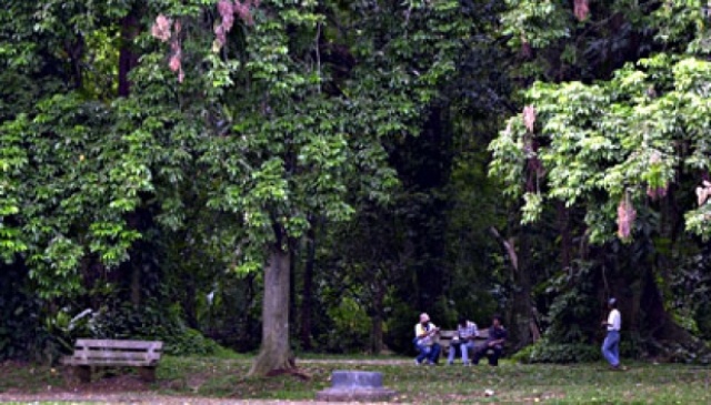 Kebun Raya Batam, 1. Pantai Nongsa, 2. Batam City Square, 3. Pantai Melur, 4. Ocarina Park, 5. Kampung Vietnam, 6. Bukit Senyum, 7. Pantai Sekilak, 8. Komplek Nagoya City Walk, 9. Pantai Melayu, 10.Jembatan Barelang, 11. Pantai Tanjung Bemban, 12. Pantai Marina, 13. Pantai Tanjung Pinggir, 14. Golden Prawn Batam, 15. Rumah Kopi Fatmawati, 16. Harbour Bay Food Court, 17. Queen Garden Waterboom, 18. Alun-alun Engku Putri, 19. Masjid Agung Batam, 20. Hutan Wisata Mata Kucing, 21. Pantai Mirota, 22. Pulau Abang Besar, 23. Kebun Raya Batam , 24. Jodoh Centre Batam, 25. Pantai Tiga Putri Barelang, 25. Pulau Mubut, 26. Pantai Elyora, 27. Pantai Reviola, 28. Pulau Forest Top, 29. Taman Wisata Habibie 1000 Tangga, 30. Tebing Langit, 31. Pulau Tunjuk, 32. Pantai Vio Vio, 33. Pulau Petong, 34. Pancur Telaga Bidadari, 35. Sea Forest Adventure, 36. Marina City, 37. Pulau Ranoh, 38. Pulau Belakang Padang, 39. Bukit Tanjung Tritip, 40. Bukit Piayu Laut, 41. Masjid Sultan Mahmud Riayat Syah