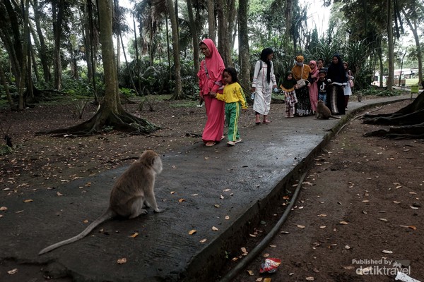Keramat Solear via detik, 1. Tempat Wisata Pantai Tanjung Pasir di Tangerang, 2. Tanjung Kait di Tangerang, 3. Wisata Religi Masjid Al-Adzom di Tangerang, 4. Objek Wisata Bendungan Pintu Air Sepuluh di Tangerang, 5. Wisata Seru ke Masjid Pintu Seribu di Tangerang, 6. Destinasi Wisata Pulau Cangkir di Tangerang, 7. Objek Wisata Situ Cipondoh di Tengerang, 8. Liburan Seru ke Marcopolo Water Adventure di Tangerang, 9. Tempat Wisata Keluarga Ocean Park Water Adventure di Tangerang Selatan, 10. Objek Wisata Taman Buaya Tanjung Pasir di Tangerang, 11. Tempat Wisata Alam Hutan Kota BSD di Tangerang, 12. Tempat Wisata Keluarga Water World Citra Raya di Tangerang, 13. Destinasi Wisata Seru ke Kawasan Lippo Karawaci di Tangerang, 14. Tempat Wisata Belanja Kawasan Gading Serpong, 15. Tempat Wisata Kuliner Enak Flavor Bliss Alam Sutera di Tangerang, 16. Objek Wisata Klenteng Boen Tek Bio di Tangerang, 17. Telaga Cisoka, 18. Tebing Koja, 19. Taman Wisata Pulau Situ Gintung, 20. Taman Potret, 21. Citra Raya World of Wonders, 22. Taman Gajah Tunggal, 23. Kandank Jurank Doank, 24. Situ Cihuni, 25. Situ Bulakan, 26. Scientia Square Park, 27. Tanah Tingal, 28. Upside Down World Alam Sutera, 29. Wisata Alam Hutan Kota, 30. Garden Lantern Maze Market, 31. Pasar Lama Tangerang, 32. Taman Prestasi, 33. Taman Kunci Cikokol, 34. Phi Phi Club Greenwich Park, 35. BX Rink, 36. Branchsto Equestrian Park, 37. Benteng Heritage Museum, 38. Amsterdam Waterpark, 39. Sakura Garden AEON Mall, 40. Kampung Bekelir, 41. Taman Bambu, 42. Taman Kota 1 BSD, 43. Kelenteng Sampo Tay Jin, 44. Froggy BSD, 45. BSD Xtreme Park, 46. Fun Park WaterBoom, 47. Taman Menteng Bintaro, 48. Boen Hay Bio Temple, 49. Little Jungle Playground, 50. Klenteng Tjo Soe Kong, 51. Vihara Padumuttara, 52. Keramat Solear, 53. Cisadane, 54. Summarecon Mall Serpong, 55. Danau Tomang, 56. Fun and Fit Qbig, 57. Monumen Lengkong, 58. Flying Deck Cisadane, 59. Taman Pisang, 60. Taman Kunang-Kunang, 61. Taman Pramuka, 62. Batavia Splash Water Adventure, 63. Pulo Saiji Water Adventure