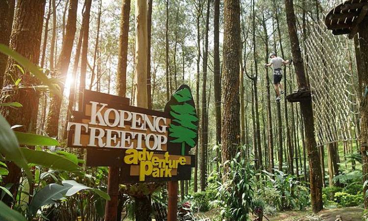 Kopeng Treetop Adventure via Twitter Tamboid, Rekomendasi Tempat Wisata di Jawa Tengah, Tempat Wisata di Semarang Jawa Tengah, Tempat Wisata di Salatiga Jawa Tengah, Tempat Wisata di Purwokerto Jawa Tengah, Tempat Wisata di Purworejo, Tempat Wisata di Jawa Tengah Hits Lainnya