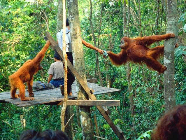 Liburan Seru River Tubing di Sungai Bukit Lawang, 1. Danau Linting, 2. Air Terjun Dua Warna, 3. Air Terjun Batu Belah Sibolangit, 4. Gunung Sibayak, 5. Bukit Lawang, 6. Sungai Bukit Lawang, 7. Penangkaran Buaya Asam Kumbang Medan, 8. Istana Maimun Medan, 9. Masjid Raya Medan, 10. Air Terjun Sipiso-piso Tongging, 11. Rahmat Gallery Medan, 12. Liburan Asyik ke Kampung Keling Medan, 13. Menikmati Pesona Keindahan Air Terjun Tangkahan, 14. Mencoba Keseruan Naik Gajah di Tangkahan, 15. Tempat Wisata Seru Danau Lau Kawar, 16. Objek Wisata Menarik Salju Panas Tinggi Raja, 17. Tempat Wisata Anak Mickey Holiday Berastagi, 18. Taman Alam Lumbini Tempat Wisata di Lereng Gunung, 19. Liburan ke Maha Vihara Adhi Maitreya, 20. Wisata Sejarah Museum Sumatera Utara, 21. Objek Wisata Danau Siombak di Medan, 22. Tempat Wisata Kuliner Merdeka Walk di Medan, 23. Kebun Binatang Medan (Medan Zoo), 24. Tempat Wisata Keluarga Mora Indah di Medan, 25. Tempat Liburan Hairos Water Park Medan, 26. Taman Sri Deli, 27. Museum Situs Kota Cina, 28. Museum Militer Bukit Barisan, 29. The Le Hu Garden Medan, 30. Vihara Gunung Timur, 31. Pasar Belawan, 32. Kuil Shri Mariamman, 33. Gedung London Sumatera ( Losum ), 34. Kesawan Square, 35. Balai Kota Lama, 36. Masjid Al-Osmani, 37. Wonders Water World, 38. Gereja Lama Medan, 39. Kantor Pos Medan, 40. Tjong A Fie Mansion, 41. Graham Santa Maria Velangkanni