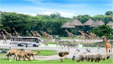 Liburan Seru ke Safari World di Thailand, 1. Objek Wisata Nong Nooch Tropical Botanical Garden di Thailand , 2. Tempat Wisata Paling Terkenal Phuket di Thailand, 3. Tempat Wisata Kuliner Khao San Road di Thailand, 4. Tempat Wisata Favorit Wat Arun di Thailand, 5. Tempat Wisata Grand Palace di Thailand, 6. Destinasi Wisata ke Chiang Rai di Thailand, 7. Destinasi Wisata ke Pai di Thailand, 8. Tempat Wisata Sejarah Phanom Rung di Thailand, 9. Obyek Wisata Seru Railay di Thailand, 10. Objek Wisata Kuil Wat Benchamabophit di Thailand, 11. Objek Wisata Wat Ratchanatdaram di Thailand, 12. Objek Wisata Candi Wat Chedi Luang di Thailand, 13. Liburan Seru ke Safari World di Thailand, 14. Objek Wisata Wat Phra Kaew di Thailand, 15. Objek Wisata Unik Wat Pho di Thailand, 16. Berwisata ke Wat Phra That Doi Suthep di Thailand, 17. Tempat Wisata Alam Roller Cave National Park di Thailand, 18. Tempat Wisata Keluarga Cha-am di Thailand, 19. Tempat Wisata Pantai Hua Hin yang Terkenal di Thailand, 20. Destinasi Wisata Koh Samui di Thailand, 21. Tempat Wisata Koh Chang di Thailand, 22. Destinasi Wisata Seru Krabi di Thailand, 23. Liburan ke Pattaya di Thailand, 24. Objek Wisata Phu Thok di Thailand, 25. Liburan Seru ke Salaeng Luang National Park di Thailand, 26. Tempat Wisata Doi Mae Hua Kham di Thailand, 27. Objek Wisata Phu Rua Taman Nasional di Thailand, 28. Liburan Seru ke Puncak galaksi Kanchanaburi di Thailand, 29. Destinasi Agrowisata Doi Ang Khang Mon di Thailand, 30. Objek Wisata Khao Kho di Thailand, 31. Tempat Wisata Belanja Chiang Mai di Thailand, 32. Tempat Belanja Murah di Pratunam Market Thailand, 33. Tempat Wisata Belanja di Amarin Plaza Thailand, 34. Phu Thap Boek, 35. Dream World Garden, 36. Baan Pinsuwan Benjarong, 37. Wat Khanon Temple, 38. Sungai Mekong, 39. Pasar Tradisional Jed Samian, 40. Sampran Riverside Market, 41. Pembuatan Keramik dan Vas Naga, Tao Hong Thai Ceramic Factory, 42. Baiyoke Sky Bangkok, 43. Ayutthaya, 44. Suphattra Land, 45. Chatuchak Weekend Market, 46. Madame Tussaud, 47. Sanctuary Of Truth, 48. Bangkok Dinner Cruises, 49. Four Face Buddha, 50. Siam Ancient City, 51. Emporium Mall, 52. Siam Niramit Show