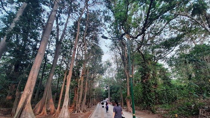 Liburan ke Hutan Kota Depok, 1. Tempat Wisata Alam Kampung 99 Pepohonan di Depok, 2. Tempat Wisata Religi Masjid kubah emas di Depok, 3. Taman Wisata Keluarga Pasir Putih Depok, 4. Objek Wisata Anak dan Keluarga Godong Ijo Depok, 5. Tempat Wisata Seru Fantasi Water Park di Depok, 6. Kolam Renang / Water Park Ceria Depok, 7. Kolam Renang Tirta Sari Depok Timur, 8. Wahana Liburan Seru Kolam Renang Paragon Depok, 9. Bermain ke Kolam Renang Gema Pesona Depok, 10. Objek Wisata Seru Pondok Zidane Depok, 11. Tempat Wisata Taman Bunga Wiladatika Depok, 12. Liburan Asyik ke Agrowisata Belimbing Dewa Depok, 13. Liburan ke Hutan Kota Depok, 14. Tempat Wisata Studio Alam TVRI Depok, 15. Liburan Seru ke D’Kandang Amazing Farm Depok, 16. Liburan ke Setu Pengasinan Depok, 17. Depok Plaza, 18. Detos/Depok Town Square | Pusat belanja, 19. Cagar Alam Kota Depok, 20. Situ Besar depok (Situ lio), 21. Situ Cilangkap, 22. Situ Citayam Kota Depok, 23. Liburan Seru ke Situ Pladen Beji, 24. Liburan ke Situ Asih Pulo Pancoran Emas Depok, 25. Wisata Sambil Olahraga di Pacuan Kuda Tapos, 26. Liburan Menantang Arung Jeram di Sungai Ciliwung, 27. Rumah Kabeda, 28. Telaga Arwana, 29. Kampung 3D Depok, 30. Taman Wisata Herbal Insani, 31. Taman Pemuda Pratama, 32. Sukatani Park, 33. Taman Wisata Permata Buana, 34. Taman Merdeka, 35. Hutan Kota UI, 36. Danau Kenanga UI, 37. Rumah Keramik F Widayanto, 38. Saung Talaga, 39. Taman Mekarsari Depok, 40. Kolam Renang Griya Tugu Asri, 41. Setu Bojongsari, 42. Setu Cilodong, 43. Situ Jatijajar, 44. Situ Rawa Besar, 45. Green Lake View Waterpark, 46. Arina Waterpark, 47. Taman Lembah Mawar, 48. Taman Lembah Gurame