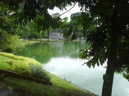 Liburan ke Hutan Kota Depok, 1. Tempat Wisata Alam Kampung 99 Pepohonan di Depok, 2. Tempat Wisata Religi Masjid kubah emas di Depok, 3. Taman Wisata Keluarga Pasir Putih Depok, 4. Objek Wisata Anak dan Keluarga Godong Ijo Depok, 5. Tempat Wisata Seru Fantasi Water Park di Depok, 6. Kolam Renang / Water Park Ceria Depok, 7. Kolam Renang Tirta Sari Depok Timur, 8. Wahana Liburan Seru Kolam Renang Paragon Depok, 9. Bermain ke Kolam Renang Gema Pesona Depok, 10. Objek Wisata Seru Pondok Zidane Depok, 11. Tempat Wisata Taman Bunga Wiladatika Depok, 12. Liburan Asyik ke Agrowisata Belimbing Dewa Depok, 13. Liburan ke Hutan Kota Depok, 14. Tempat Wisata Studio Alam TVRI Depok, 15. Liburan Seru ke D’Kandang Amazing Farm Depok, 16. Liburan ke Setu Pengasinan Depok, 17. Depok Plaza, 18. Detos/Depok Town Square | Pusat belanja, 19. Cagar Alam Kota Depok, 20. Situ Besar depok (Situ lio), 21. Situ Cilangkap, 22. Situ Citayam Kota Depok, 23. Liburan Seru ke Situ Pladen Beji, 24. Liburan ke Situ Asih Pulo Pancoran Emas Depok, 25. Wisata Sambil Olahraga di Pacuan Kuda Tapos, 26. Liburan Menantang Arung Jeram di Sungai Ciliwung, 27. Rumah Kabeda, 28. Telaga Arwana, 29. Kampung 3D Depok, 30. Taman Wisata Herbal Insani, 31. Taman Pemuda Pratama, 32. Sukatani Park, 33. Taman Wisata Permata Buana, 34. Taman Merdeka, 35. Hutan Kota UI, 36. Danau Kenanga UI, 37. Rumah Keramik F Widayanto, 38. Saung Talaga, 39. Taman Mekarsari Depok, 40. Kolam Renang Griya Tugu Asri, 41. Setu Bojongsari, 42. Setu Cilodong, 43. Situ Jatijajar, 44. Situ Rawa Besar, 45. Green Lake View Waterpark, 46. Arina Waterpark, 47. Taman Lembah Mawar, 48. Taman Lembah Gurame