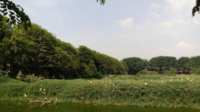Lihat Burung di Cemara Asri via Tribunnews, 1. Tempat Wisata di Sumatera Utara – Danau Toba, 2. Air Terjun Telaga Dwi Warna Sibolangit, 3. Tempat Wisata di Sumatera Utara – Pulau Samosir, 4. Pantai Lagundri dan Pantai Sorake, 5. Tempat Wisata di Sumatera Utara – Air Terjun Sigura-gura, 6. Tempat Wisata di Sumatera Utara – Danau Siombak, 7. Tempat Wisata di Sumatera Utara – Bukit Gundaling, 8. Tempat Wisata di Sumatera Utara – Menara Air Tirtanadi, 9. Tempat Wisata di Sumatera Utara – Rumah Tjong A Fie, 10. Tempat Wisata di Sumatera Utara – Bukit Lawang, 11. Kampung Madras Medan /Kampung Keling, 12. Rahmat International Wildlife Museum & Gallery, 13. Tempat Wisata di Sumatera Utara – Gunung Sibayak, 14. Tempat Wisata di Sumatera Utara – Cagar Alam Sibolangit, 15. Tempat Wisata di Sumatera Utara – Danau Lau Kawar, 16. Tempat Wisata di Sumatera Utara – Taman Nasional Gunung Leuser, 17. Tempat Wisata di Sumatera Utara – Tangkahan, 18. Hillpark Sibolangit / Green Hill City, 19. Tempat Wisata di Sumatera Utara – Aek Sijorni, 20. Tempat Wisata di Sumatera Utara – Salju Panas Dolok Tinggi Raja, 21. Tempat Wisata di Sumatera Utara – Penangkaran Buaya Asam Kumbang, 22. Tempat Wisata di Sumatera Utara – Masjid Raya Medan, 23. Tempat Wisata di Sumatera Utara – Air Terjun Sipiso-piso, 24. Tempat Wisata di Sumatera Utara – Istana Maimun, 25. Tempat Wisata di Sumatera Utara – Danau Linting, 26. Tempat Wisata di Sumatera Utara – Maha Vihara Adhi Maitreya, 27. Tempat Wisata di Sumatera Utara – Pulau Nias, 28. Tempat Wisata di Sumatera Utara – Kota Tarutung, 29. Taman Wisata Rohani Salib Kasih, 30. Graha Santa Maria Annai Velangkanni, 31. Tempat Wisata di Sumatera Utara – Taman Alam Lumbini, 32. Pantai Cermin, 33. Pantai Gudang Garam, 34. Taman Mora Indah, 35. Hairos Waterpark, 36. Pantai Pondok Permai, 37. Arung Jeram Sungai Bingei, 38. Simalem Resort, 39. Menara Pandang Tele, 40. Merdeka Walk, 41. Museum Sumatera Utara, 42. Kampung Ladang Outbound, 43. Lihat Burung di Cemara Asri