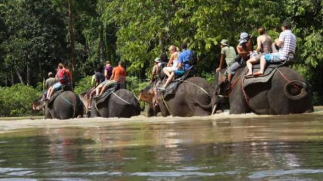 Mencoba Keseruan Naik Gajah di Tangkahan, 1. Danau Linting, 2. Air Terjun Dua Warna, 3. Air Terjun Batu Belah Sibolangit, 4. Gunung Sibayak, 5. Bukit Lawang, 6. Sungai Bukit Lawang, 7. Penangkaran Buaya Asam Kumbang Medan, 8. Istana Maimun Medan, 9. Masjid Raya Medan, 10. Air Terjun Sipiso-piso Tongging, 11. Rahmat Gallery Medan, 12. Liburan Asyik ke Kampung Keling Medan, 13. Menikmati Pesona Keindahan Air Terjun Tangkahan, 14. Mencoba Keseruan Naik Gajah di Tangkahan, 15. Tempat Wisata Seru Danau Lau Kawar, 16. Objek Wisata Menarik Salju Panas Tinggi Raja, 17. Tempat Wisata Anak Mickey Holiday Berastagi, 18. Taman Alam Lumbini Tempat Wisata di Lereng Gunung, 19. Liburan ke Maha Vihara Adhi Maitreya, 20. Wisata Sejarah Museum Sumatera Utara, 21. Objek Wisata Danau Siombak di Medan, 22. Tempat Wisata Kuliner Merdeka Walk di Medan, 23. Kebun Binatang Medan (Medan Zoo), 24. Tempat Wisata Keluarga Mora Indah di Medan, 25. Tempat Liburan Hairos Water Park Medan, 26. Taman Sri Deli, 27. Museum Situs Kota Cina, 28. Museum Militer Bukit Barisan, 29. The Le Hu Garden Medan, 30. Vihara Gunung Timur, 31. Pasar Belawan, 32. Kuil Shri Mariamman, 33. Gedung London Sumatera ( Losum ), 34. Kesawan Square, 35. Balai Kota Lama, 36. Masjid Al-Osmani, 37. Wonders Water World, 38. Gereja Lama Medan, 39. Kantor Pos Medan, 40. Tjong A Fie Mansion, 41. Graham Santa Maria Velangkanni