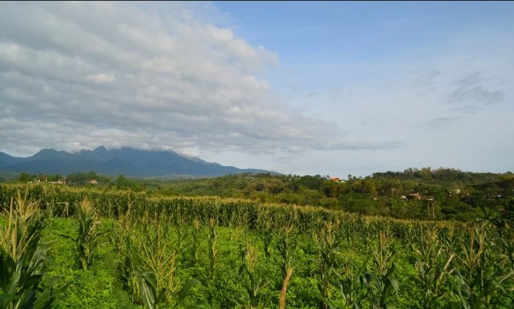 Mendaki Gunung Klotok