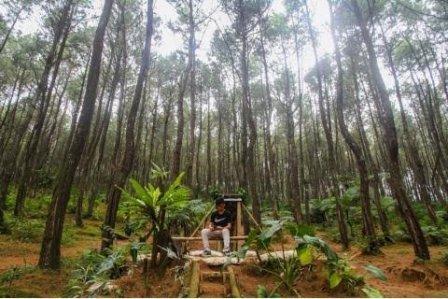 Menikmati Keindahan Alam Wana wisata Pokland