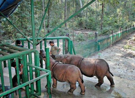 Objek Wisata Kandang Batu dan Kandang Badak di Cianjur
