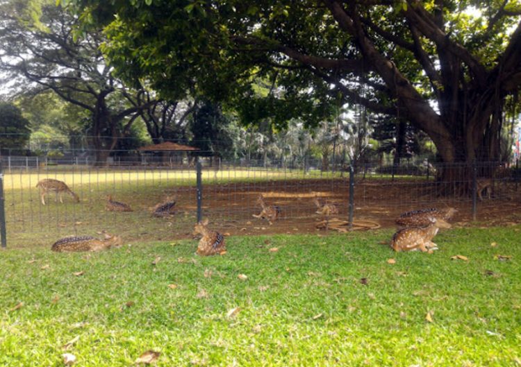 Objek Wisata Keluarga Taman Kemang Pratama Bekasi, 1. Taman Buaya Indonesia Jaya , 2. Waterboom Lippo Cikarang, 3.Gedung Juang 45, 4. Saung Ranggon, 5. Danau Cibeureum, 6. Klenteng Hok Lay Kiong, 7. Vihara Dharma Jaya, 8. Pura Agung Tirta Bhuana , 9. Masjid Jami Al – Hidayah, 10. Pantai Muara Gembong, 11. Pantai Muara Beting, 12. Pantai Muara Bendera, 13.Pantai Mekar, 14. Rumah Pohon, 15. Hutan Kota Bekasi, 16. Danau Marakas, 17. Bumi Perkemahan Karang Kitri, 18. Taman Kemang Pratama, 19. Restoran Kartini Cikarang , 20. Saung Wulan, 21. Taman Alun-alun Kota Bekasi, 22. Kolam Renang Taman Harapan Baru (THB), 23. Kolam Renang Bintang Sport Center, 24. Sport Club Harapan Indah, 25. Kolam Renang Galaxy Tirta Mas, 26. Venetian Water Carnaval, 27. Columbus Waterpark, 28. Go! Wet Waterpark, 29. Curug Parigi, 30. Transera Waterpark, 31. Snow World International Revo Town, 32. Situ Gede Bekasi, 33. Sirkus Waterplay, 34. Rainbow Garden, 35. Fun Park Waterboom Bekasi, 36. Danau Duta Harapan, 37. Taman Hijau Pekayon, 38. Taman Gigi, 39. Hutan Kota Patriot Bina Bangsa, 40. Taman Jatiasih, 41. Islamic Center Bekasi, 42. Stadion Patriot Candrabaga, 43. Wisata Bumi Restu, 44. Penguin Waterpark, 45. Grand Splash Waterpark, 47. Camping Ground Kalam Kopen, 48. Tugu Skatepark, 49. Kolam Renang Green Park, 50. Kolam Renang Persada Kemala, 51. Danau Elysum, 52. Jembatan Magnetica, 53. Piramida Terbalik Summarecon Bekasi, 54. Situ Rawa Binong, 55. Stadion Wibawa Mukti, 56. Taman Sehati, 57. Jababeka Botanical Garden, 58. Puri Nirwana Waterpark, 59. Megati Waterpark