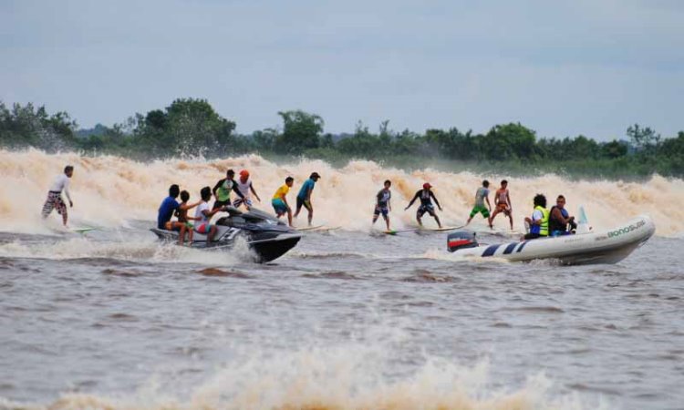 Objek Wisata Seru Sungai Kampar via Suarasindo, 1. Objek Wisata Keluarga Riau Fantasi , 2. Tempat Rekreasi Kebun Binatang Sang Kulim , 3. Destinasi Wisata Danau Buatan Lembah Sari , 4. Objek Wisata Taman Rekreasi Alam Mayang di Pekanbaru, 5. Tempat Wisata Seru Istana Siak Sri Indrapura , 6. Objek Wisata Religi Masjid Agung An Nur di Pekanbaru, 7. Tempat Wisata Edukasi Perpustakaan Soeman H.S di Pekanbaru, 8. Wisata Sejarah di Masjid Senapelan Pekanbaru, 9. Tempat Wisata Belanja Pasar Bawah di Pekanbaru, 10. Wisata Belanja Oleh-oleh Dekranasda di Pekanbaru, 11. Objek Wisata Sejarah Museum Sang Nila Utama , 12. Tempat Wisata Alam Air Terjun Aek Martua, 13. Liburan Seru ke Anjungan Seni Idrus Tintin di Pekanbaru, 14. Objek Wisata Alam Air Terjun Guruh Gemurai di Pekanbaru, 15. Destinasi Wisata Desa Okura di Pekanbaru, 16. Liburan ke Taman Hutan Raya Sultan Syarif Kasim, 17. Objek Wisata Seru Sungai Kampar, 18. Tempat Wisata Kuliner Sup Tunjang Tribuana di Pekanbaru, 19. Tempat Makan yang Enak RM Baung, 20. Air Terjun Batu Dinding , 21. Taman Putri Kaca Mayang, 22. Wisata Budaya di Balai Adat Riau, 23. Menikmati Kopi di Kedai Kopi Kawasan Hang Tuah, 24. Air Terjun Batang Kapas, 25. Rainbow Hills Rumbai, 26. Bukit Kapur Air Hitam, 27. Hutan Kota Pekanbaru, 28. Danau Bandar Kayangan, 29. Citraland Waterpark, 30. Kuantan Regency Waterpark, 31. Taman Wisata Alam Mayang, 32. Agrowisata Tenayan Raya, 33. Taman Kota Pekanbaru, 34. Arboretum Universitas Riau, 35. Trans Studio Mini Pekanbaru, 36. Kawah Biru, 37. Teluk Jering, 38. Candi Muara Takus