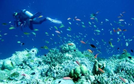 Objek Wisata Taman Laut Taka Bonerate di Makassar