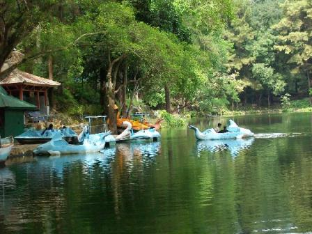 Objek Wisata Telaga Remis di Cirebon, 1. Wisata Sejarah Keraton Kasepuhan di Cirebon, 2. Objek Wisata Keraton Kanoman di Cirebon, 3. Wahana Bermain Apita Waterboom, 4. Objek Wisata Sejarah Taman Sari Gua Sunyaragi di Cirebon, 5. Destinasi Wisata Banyu Panas Palimanan di Cirebon, 6. Wisata Religi Masjid Agung Sang Cipta Rasa Cirebon, 7. Wisata Belanja Terkenal Batik Trusmi Cirebon, 8. Wahana Bermain Waterboom siwalk di Cirebon, 9. Wahana Liburan Seru Outbound Siwalk di Cirebon, 10. Objek Wisata Danau Setu Patok di Cirebon, 11. Destinasi Wisata Wanawisata Ciwaringin di Cirebon, 12. Desa Wisata Cikalahang Cirebon, 13. Objek Wisata Situ Sedong di Cirebon, 14. Wahana Bermain Taman Ade Irma Suryani (Waterland) di Cirebon, 15. Wisata Kuliner Enak Nasi Jamblang Khas Cirebon, 16. Wisata Kuliner Empal gentong Khas Cirebon, 17. Tempat Romantis di Bukit Gronggong, 18. Objek Wisata Telaga Remis , 19. Ziarah ke Makam Sunan Gunung jati Cirebon, 20. Objek Wisata Pantai Kejawanan di Cirebon, 21. Pantai Baro Gebang, 22. Telaga Nilam, 23. Kolam Renang Hegar, 24. Kolam Renang Zam-Zam, 25. Water Park Ciperna, 26. Alun-alun Kejaksaan, 27. Batu Lawang, 28. Bukit Plangon, 29. Masjid Merah, 30. Jempol Waterboom, 31. Vihara Dewi Welas Asih, 32. Gedung BAT, 33. Wisata Kura Kura Belawa, 34. Masjid Raya At-Taqwa, 35. Keraton Kacirebonan, 36. Klenteng Hok Keng Tong, 37. Hutan Mangrove Kasih Sayang, 38. Pemandian Cibulan, 39. Tirtamas Gemilang, 40. Catherine Surya, 41. Grage City