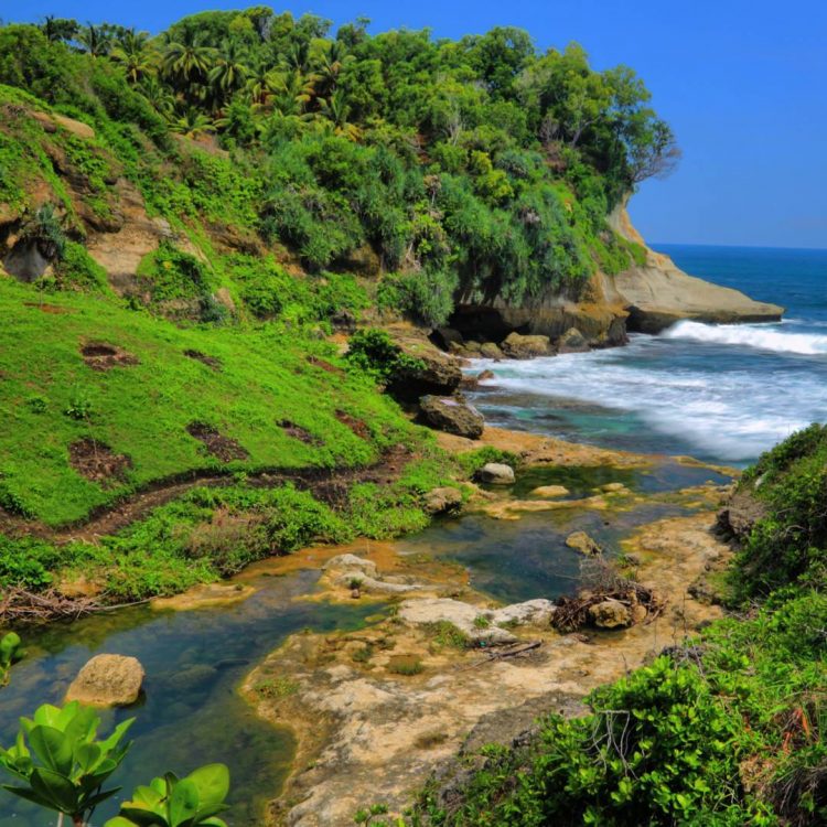 Pantai Ngandul, 1. Pantai Klayar, 2. Pantai Srau, 3. Pantai Watu Karung, 4. Pantai Banyu Tibo , 5. Sungai Maron, 6. Monumen Jendral Sudirman , 7. Banyu Anget Tirto Husodo Hot Spring, 8. Pantai Kasap, 9. Pantai Teleng Ria, 10. Pantai Pidakan, 11. Destinasi Wisata Pantai Soge di Pacitan, 12. Pantai Buyutan, 13. Pantai Karang Bolong, 14. Pantai Seruni Pacitan, 15. Pantai Tawang , 16. Pantai Kaliuluh, 17. Pantai TAMAN Ngadirojo, 18. Pantai Kunir, 19. Goa Gong, 20. Goa Tabuhan, 21. Goa Luweng Jaran , 22. Goa Song Terus, 23. Goa Putri, 24. Pantai Tamperan, 25. Pantai Wawaran, 26. Bukit Pakis – Bukit Bintang, 27. Pantai Langitan, 28. Beiji park pacitan, 28. Sungai Cokel, 29. Sentono Gentong Pacitan, 30. Pantai Pancer Dorr, 31. Alun-Alun Pacitan, 32. Jurug Gringsing  , 33. Pantai Watu Bale, 34. Pantai Pangasan, 35. Pantai Ngandul, 36. Pantai Denombo, 37. Pantai Plumbungan, 38. Pantai TAMAN Ngadirojo Pacitan, 39. Goa Selo Arum, 40. Mandi Angin Pacitan, 41. Masjid Agung Pacitan, 42. Grojogan Dhuwur Pacitan, 43. Curug Sabun, 44. Gerojokan Mbedayu, 45. Tlogo Sono, 46. Pantai anakan, 47. Tempat Wisata Kuliner Terkenal Nasi Tiwul 