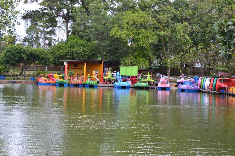 Taman Wisata Alam Mayang, 1. Objek Wisata Keluarga Riau Fantasi , 2. Tempat Rekreasi Kebun Binatang Sang Kulim , 3. Destinasi Wisata Danau Buatan Lembah Sari , 4. Objek Wisata Taman Rekreasi Alam Mayang di Pekanbaru, 5. Tempat Wisata Seru Istana Siak Sri Indrapura , 6. Objek Wisata Religi Masjid Agung An Nur di Pekanbaru, 7. Tempat Wisata Edukasi Perpustakaan Soeman H.S di Pekanbaru, 8. Wisata Sejarah di Masjid Senapelan Pekanbaru, 9. Tempat Wisata Belanja Pasar Bawah di Pekanbaru, 10. Wisata Belanja Oleh-oleh Dekranasda di Pekanbaru, 11. Objek Wisata Sejarah Museum Sang Nila Utama , 12. Tempat Wisata Alam Air Terjun Aek Martua, 13. Liburan Seru ke Anjungan Seni Idrus Tintin di Pekanbaru, 14. Objek Wisata Alam Air Terjun Guruh Gemurai di Pekanbaru, 15. Destinasi Wisata Desa Okura di Pekanbaru, 16. Liburan ke Taman Hutan Raya Sultan Syarif Kasim, 17. Objek Wisata Seru Sungai Kampar, 18. Tempat Wisata Kuliner Sup Tunjang Tribuana di Pekanbaru, 19. Tempat Makan yang Enak RM Baung, 20. Air Terjun Batu Dinding , 21. Taman Putri Kaca Mayang, 22. Wisata Budaya di Balai Adat Riau, 23. Menikmati Kopi di Kedai Kopi Kawasan Hang Tuah, 24. Air Terjun Batang Kapas, 25. Rainbow Hills Rumbai, 26. Bukit Kapur Air Hitam, 27. Hutan Kota Pekanbaru, 28. Danau Bandar Kayangan, 29. Citraland Waterpark, 30. Kuantan Regency Waterpark, 31. Taman Wisata Alam Mayang, 32. Agrowisata Tenayan Raya, 33. Taman Kota Pekanbaru, 34. Arboretum Universitas Riau, 35. Trans Studio Mini Pekanbaru, 36. Kawah Biru, 37. Teluk Jering, 38. Candi Muara Takus