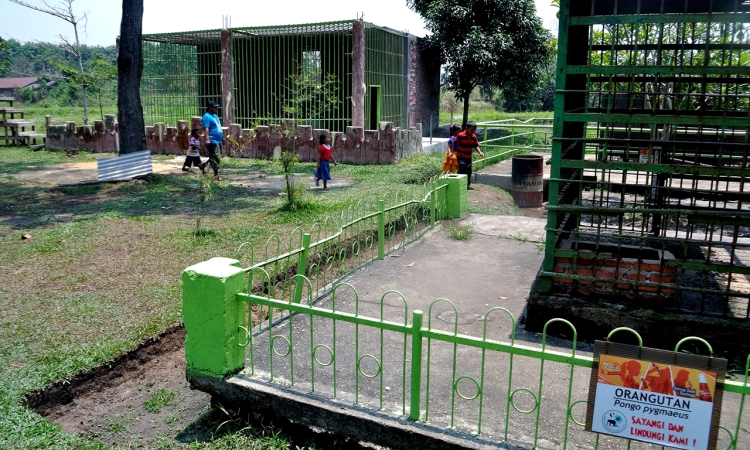 Tempat Rekreasi Kebun Binatang Sang Kulim di Pekanbaru, 1. Objek Wisata Keluarga Riau Fantasi , 2. Tempat Rekreasi Kebun Binatang Sang Kulim , 3. Destinasi Wisata Danau Buatan Lembah Sari , 4. Objek Wisata Taman Rekreasi Alam Mayang di Pekanbaru, 5. Tempat Wisata Seru Istana Siak Sri Indrapura , 6. Objek Wisata Religi Masjid Agung An Nur di Pekanbaru, 7. Tempat Wisata Edukasi Perpustakaan Soeman H.S di Pekanbaru, 8. Wisata Sejarah di Masjid Senapelan Pekanbaru, 9. Tempat Wisata Belanja Pasar Bawah di Pekanbaru, 10. Wisata Belanja Oleh-oleh Dekranasda di Pekanbaru, 11. Objek Wisata Sejarah Museum Sang Nila Utama , 12. Tempat Wisata Alam Air Terjun Aek Martua, 13. Liburan Seru ke Anjungan Seni Idrus Tintin di Pekanbaru, 14. Objek Wisata Alam Air Terjun Guruh Gemurai di Pekanbaru, 15. Destinasi Wisata Desa Okura di Pekanbaru, 16. Liburan ke Taman Hutan Raya Sultan Syarif Kasim, 17. Objek Wisata Seru Sungai Kampar, 18. Tempat Wisata Kuliner Sup Tunjang Tribuana di Pekanbaru, 19. Tempat Makan yang Enak RM Baung, 20. Air Terjun Batu Dinding , 21. Taman Putri Kaca Mayang, 22. Wisata Budaya di Balai Adat Riau, 23. Menikmati Kopi di Kedai Kopi Kawasan Hang Tuah, 24. Air Terjun Batang Kapas, 25. Rainbow Hills Rumbai, 26. Bukit Kapur Air Hitam, 27. Hutan Kota Pekanbaru, 28. Danau Bandar Kayangan, 29. Citraland Waterpark, 30. Kuantan Regency Waterpark, 31. Taman Wisata Alam Mayang, 32. Agrowisata Tenayan Raya, 33. Taman Kota Pekanbaru, 34. Arboretum Universitas Riau, 35. Trans Studio Mini Pekanbaru, 36. Kawah Biru, 37. Teluk Jering, 38. Candi Muara Takus