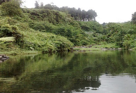 Tempat Rekreasi Keluarga Telaga Pucung di Purwokerto, 1. Objek Wisata Terkenal Baturaden di Purwokerto, 2. Tempat Wisata Alam Curug Gede di Purwokerto, 3. Objek Wisata Alam Air Terjun Curug Ceheng di Purwokerto, 4. Tempat Wisata Seru di Baturraden Adventure Forest Purwokerto, 5. Objek Wisata Air hangat belerang di Pancuran 7 di Purwokerto, 6. Tempat Wisata Seru Telaga sunyi di Purwokerto, 7. Objek Wisata Alam Curug Cipendok, 8. Objek Wisata Religi Gua Maria Kaliori di Purwokerto, 9. Wisata Kuliner Mendoan khas Purwokerto, 10. Destinasi Wisata Menantang Mendaki Gunung Slamet, 11. Tempat Wisata Seru Pemandian Kalibacin , 12. Tempat Wisata Keluarga Batur Agung di Purwokerto (Sudah Tutup), 13. Tempat Rekreasi Keluarga Telaga Pucung , 14. Monumen Panglima Besar Jenderal Sudirman , 15. Wahana Rekreasi Dreamland Park Pancasan di Purwokerto, 16. Wahana Permainan Seru Crossworld Paintball, 17. Nyantai di Alun-alun Lama Kota Banyumas, 18. Serunya Liburan di Depo Bay Depo Pelita Purwokerto, 19. Objek Wisata Terbaru Curug Nangga Di Banyumas, 20. Bukit Watu Meja, 21. Museum Bank Rakyat Indonesia, 22. Wisata Bendungan Gerak Serayu, 23. Tempat Wisata Alam Bukit Tranggulasih Purwokerto, 24. Liburan Seru ke Batur Agung Mount of Fun Purwokerto, 25. Wisata Alam Curug Gomblang di Purwokerto, 26. Curug Bayan, 27. Curug Telu, 28. Bukit Bintang Baturaden, 29. Wisata Alam Pancuran 3 Purwokerto, 30. Miniatur Dunia Purwokerto (Small World), 31. Bukit Pandang Munggang, 32. Puncak Dinar, 33. Bukit Gadog, 34. Kebun Bunga Matahari Rempoah, 35. Bukit Agaran, 36. Hutan Pinus Limpakuwus, 37. Curug Pinang, 38. The Forest Island, 39. The Village Purwokerto, 40. Bumi Perkemahan Wana Wisata Baturaden, 41. Taman Kaloka Widya Mandala