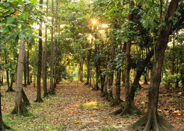 Tempat Wisata Alam Hutan Kota di Bekasi, 1. Taman Buaya Indonesia Jaya , 2. Waterboom Lippo Cikarang, 3.Gedung Juang 45, 4. Saung Ranggon, 5. Danau Cibeureum, 6. Klenteng Hok Lay Kiong, 7. Vihara Dharma Jaya, 8. Pura Agung Tirta Bhuana , 9. Masjid Jami Al – Hidayah, 10. Pantai Muara Gembong, 11. Pantai Muara Beting, 12. Pantai Muara Bendera, 13.Pantai Mekar, 14. Rumah Pohon, 15. Hutan Kota Bekasi, 16. Danau Marakas, 17. Bumi Perkemahan Karang Kitri, 18. Taman Kemang Pratama, 19. Restoran Kartini Cikarang , 20. Saung Wulan, 21. Taman Alun-alun Kota Bekasi, 22. Kolam Renang Taman Harapan Baru (THB), 23. Kolam Renang Bintang Sport Center, 24. Sport Club Harapan Indah, 25. Kolam Renang Galaxy Tirta Mas, 26. Venetian Water Carnaval, 27. Columbus Waterpark, 28. Go! Wet Waterpark, 29. Curug Parigi, 30. Transera Waterpark, 31. Snow World International Revo Town, 32. Situ Gede Bekasi, 33. Sirkus Waterplay, 34. Rainbow Garden, 35. Fun Park Waterboom Bekasi, 36. Danau Duta Harapan, 37. Taman Hijau Pekayon, 38. Taman Gigi, 39. Hutan Kota Patriot Bina Bangsa, 40. Taman Jatiasih, 41. Islamic Center Bekasi, 42. Stadion Patriot Candrabaga, 43. Wisata Bumi Restu, 44. Penguin Waterpark, 45. Grand Splash Waterpark, 47. Camping Ground Kalam Kopen, 48. Tugu Skatepark, 49. Kolam Renang Green Park, 50. Kolam Renang Persada Kemala, 51. Danau Elysum, 52. Jembatan Magnetica, 53. Piramida Terbalik Summarecon Bekasi, 54. Situ Rawa Binong, 55. Stadion Wibawa Mukti, 56. Taman Sehati, 57. Jababeka Botanical Garden, 58. Puri Nirwana Waterpark, 59. Megati Waterpark