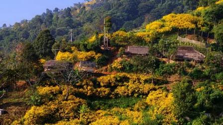 Tempat Wisata Doi Mae Hua Kham di Thailand, 1. Objek Wisata Nong Nooch Tropical Botanical Garden di Thailand , 2. Tempat Wisata Paling Terkenal Phuket di Thailand, 3. Tempat Wisata Kuliner Khao San Road di Thailand, 4. Tempat Wisata Favorit Wat Arun di Thailand, 5. Tempat Wisata Grand Palace di Thailand, 6. Destinasi Wisata ke Chiang Rai di Thailand, 7. Destinasi Wisata ke Pai di Thailand, 8. Tempat Wisata Sejarah Phanom Rung di Thailand, 9. Obyek Wisata Seru Railay di Thailand, 10. Objek Wisata Kuil Wat Benchamabophit di Thailand, 11. Objek Wisata Wat Ratchanatdaram di Thailand, 12. Objek Wisata Candi Wat Chedi Luang di Thailand, 13. Liburan Seru ke Safari World di Thailand, 14. Objek Wisata Wat Phra Kaew di Thailand, 15. Objek Wisata Unik Wat Pho di Thailand, 16. Berwisata ke Wat Phra That Doi Suthep di Thailand, 17. Tempat Wisata Alam Roller Cave National Park di Thailand, 18. Tempat Wisata Keluarga Cha-am di Thailand, 19. Tempat Wisata Pantai Hua Hin yang Terkenal di Thailand, 20. Destinasi Wisata Koh Samui di Thailand, 21. Tempat Wisata Koh Chang di Thailand, 22. Destinasi Wisata Seru Krabi di Thailand, 23. Liburan ke Pattaya di Thailand, 24. Objek Wisata Phu Thok di Thailand, 25. Liburan Seru ke Salaeng Luang National Park di Thailand, 26. Tempat Wisata Doi Mae Hua Kham di Thailand, 27. Objek Wisata Phu Rua Taman Nasional di Thailand, 28. Liburan Seru ke Puncak galaksi Kanchanaburi di Thailand, 29. Destinasi Agrowisata Doi Ang Khang Mon di Thailand, 30. Objek Wisata Khao Kho di Thailand, 31. Tempat Wisata Belanja Chiang Mai di Thailand, 32. Tempat Belanja Murah di Pratunam Market Thailand, 33. Tempat Wisata Belanja di Amarin Plaza Thailand, 34. Phu Thap Boek, 35. Dream World Garden, 36. Baan Pinsuwan Benjarong, 37. Wat Khanon Temple, 38. Sungai Mekong, 39. Pasar Tradisional Jed Samian, 40. Sampran Riverside Market, 41. Pembuatan Keramik dan Vas Naga, Tao Hong Thai Ceramic Factory, 42. Baiyoke Sky Bangkok, 43. Ayutthaya, 44. Suphattra Land, 45. Chatuchak Weekend Market, 46. Madame Tussaud, 47. Sanctuary Of Truth, 48. Bangkok Dinner Cruises, 49. Four Face Buddha, 50. Siam Ancient City, 51. Emporium Mall, 52. Siam Niramit Show
