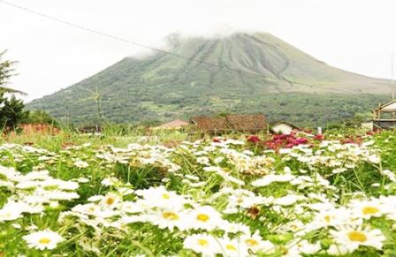Tempat Wisata Kota Bunga Tomohon