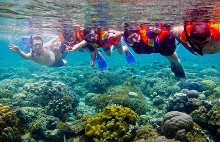 Tempat Wisata Paling Terkenal Taman Laut Bunaken di Manado