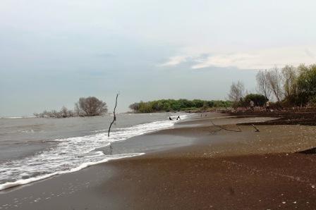 Tempat Wisata Pantai Muara Beting di Bekasi, 1. Taman Buaya Indonesia Jaya , 2. Waterboom Lippo Cikarang, 3.Gedung Juang 45, 4. Saung Ranggon, 5. Danau Cibeureum, 6. Klenteng Hok Lay Kiong, 7. Vihara Dharma Jaya, 8. Pura Agung Tirta Bhuana , 9. Masjid Jami Al – Hidayah, 10. Pantai Muara Gembong, 11. Pantai Muara Beting, 12. Pantai Muara Bendera, 13.Pantai Mekar, 14. Rumah Pohon, 15. Hutan Kota Bekasi, 16. Danau Marakas, 17. Bumi Perkemahan Karang Kitri, 18. Taman Kemang Pratama, 19. Restoran Kartini Cikarang , 20. Saung Wulan, 21. Taman Alun-alun Kota Bekasi, 22. Kolam Renang Taman Harapan Baru (THB), 23. Kolam Renang Bintang Sport Center, 24. Sport Club Harapan Indah, 25. Kolam Renang Galaxy Tirta Mas, 26. Venetian Water Carnaval, 27. Columbus Waterpark, 28. Go! Wet Waterpark, 29. Curug Parigi, 30. Transera Waterpark, 31. Snow World International Revo Town, 32. Situ Gede Bekasi, 33. Sirkus Waterplay, 34. Rainbow Garden, 35. Fun Park Waterboom Bekasi, 36. Danau Duta Harapan, 37. Taman Hijau Pekayon, 38. Taman Gigi, 39. Hutan Kota Patriot Bina Bangsa, 40. Taman Jatiasih, 41. Islamic Center Bekasi, 42. Stadion Patriot Candrabaga, 43. Wisata Bumi Restu, 44. Penguin Waterpark, 45. Grand Splash Waterpark, 47. Camping Ground Kalam Kopen, 48. Tugu Skatepark, 49. Kolam Renang Green Park, 50. Kolam Renang Persada Kemala, 51. Danau Elysum, 52. Jembatan Magnetica, 53. Piramida Terbalik Summarecon Bekasi, 54. Situ Rawa Binong, 55. Stadion Wibawa Mukti, 56. Taman Sehati, 57. Jababeka Botanical Garden, 58. Puri Nirwana Waterpark, 59. Megati Waterpark